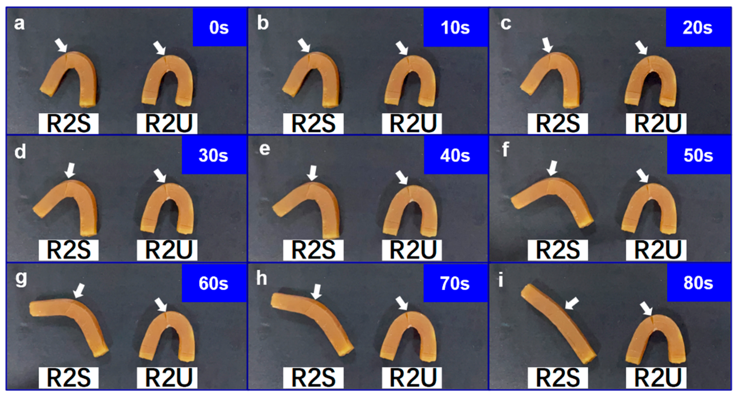 Polymers 14 04879 g011 Polymers 14 04879 g011