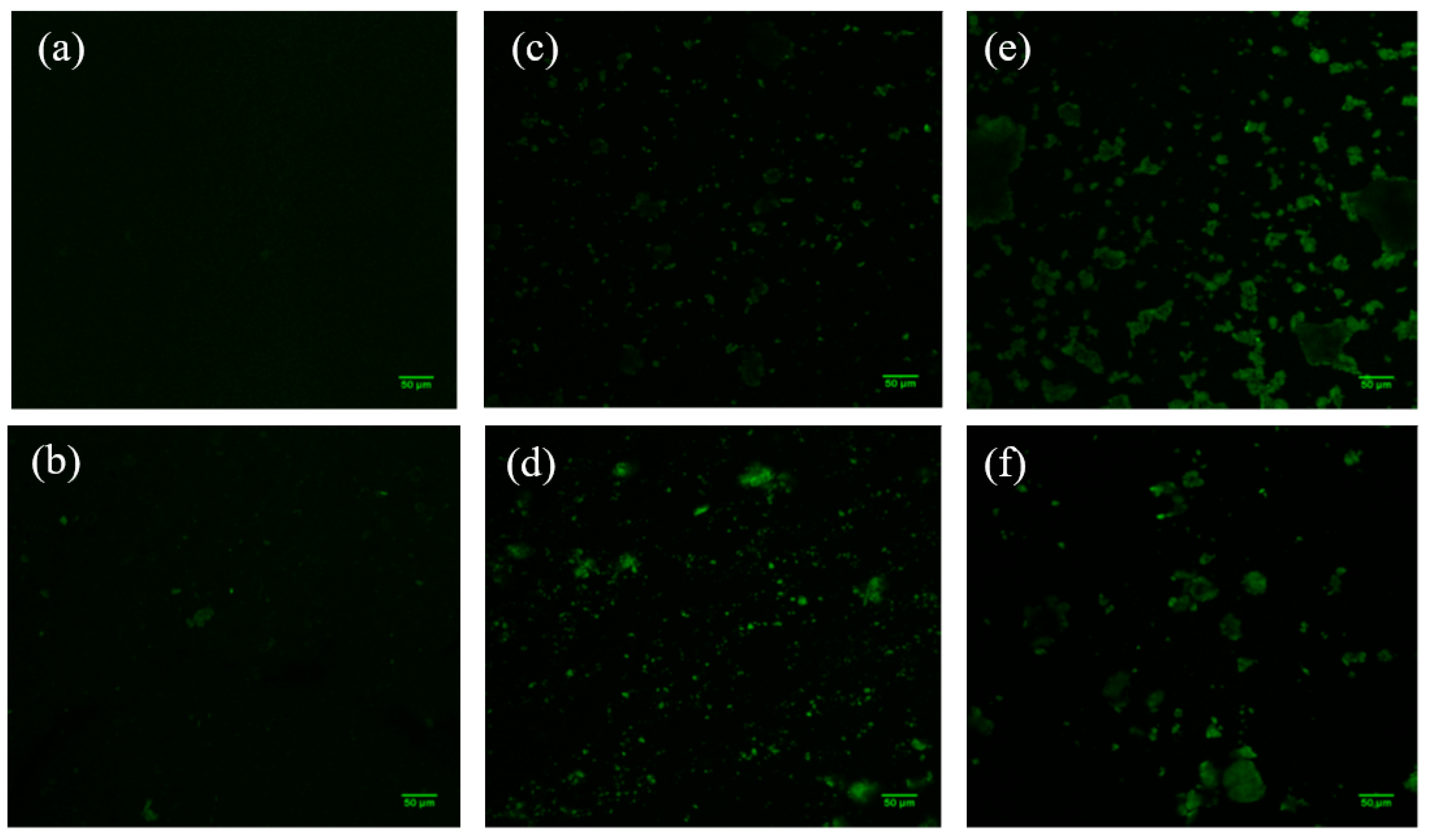 Polymers 14 04881 g006