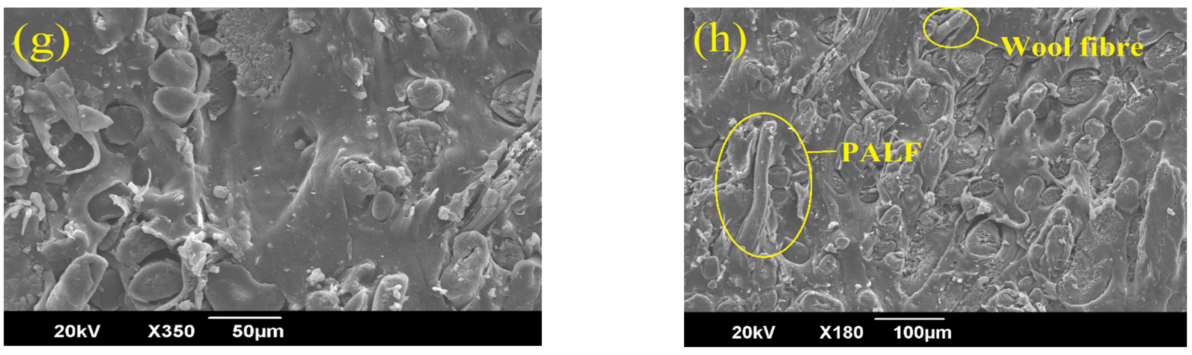 Polymers 14 04882 g004b Polymers 14 04882 g004b
