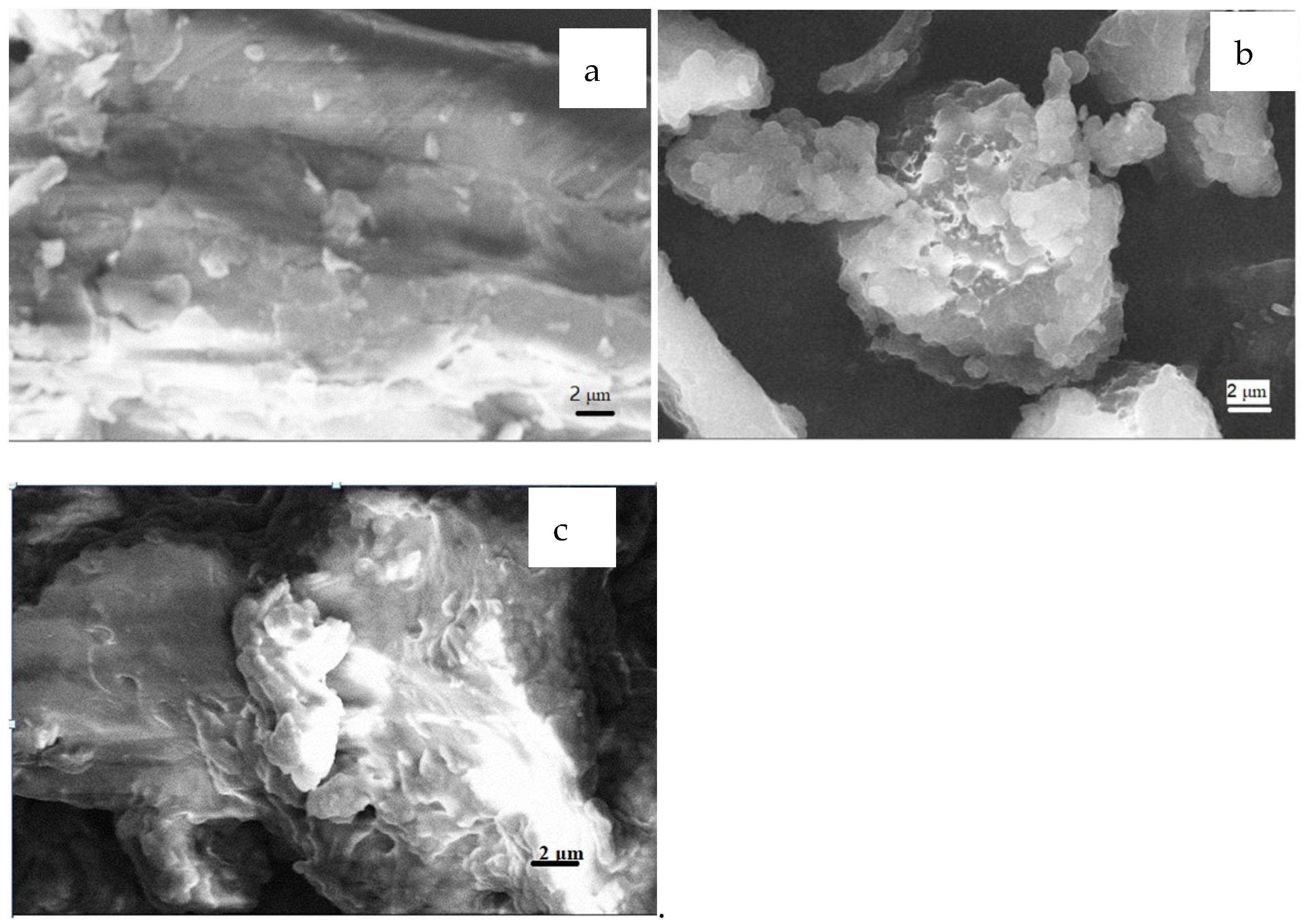 Polymers 14 04883 g004 Polymers 14 04883 g004