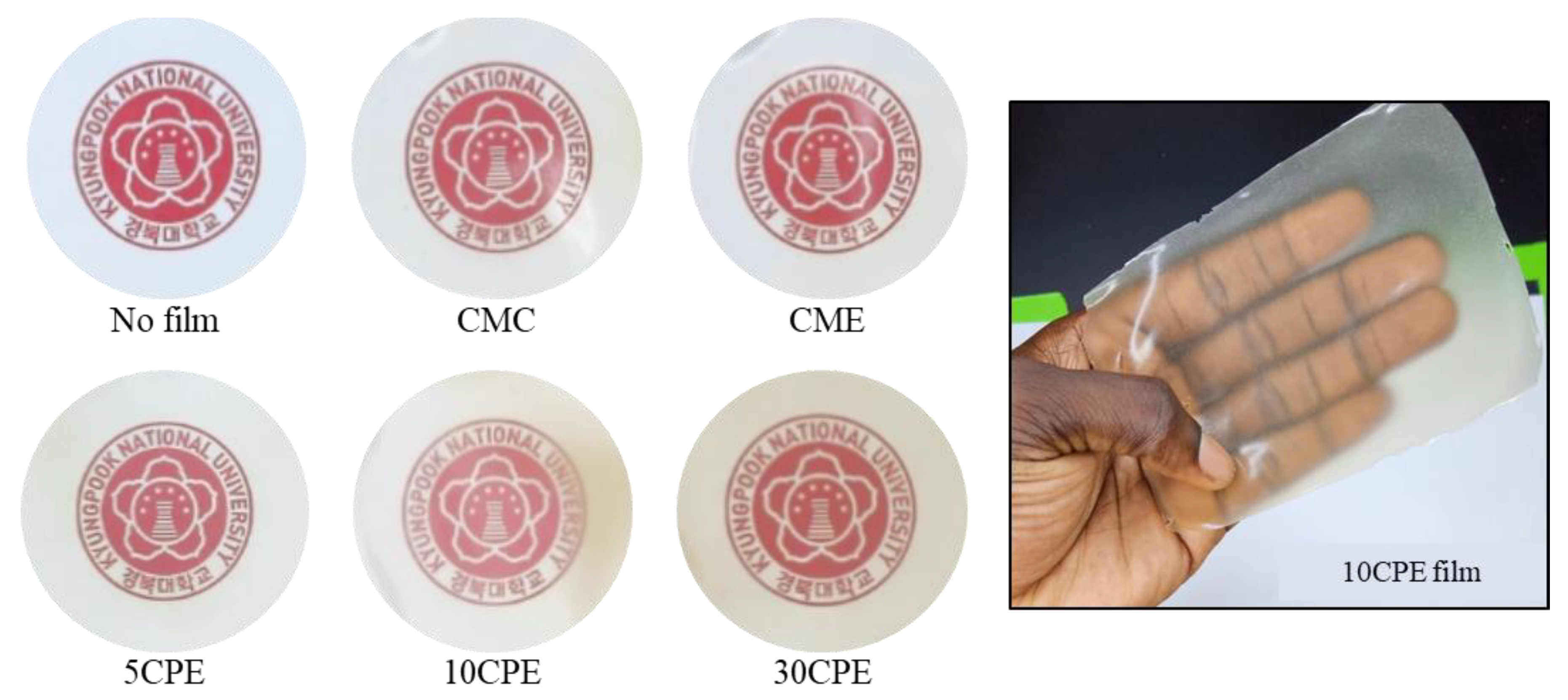 Polymers 14 04884 g003 550