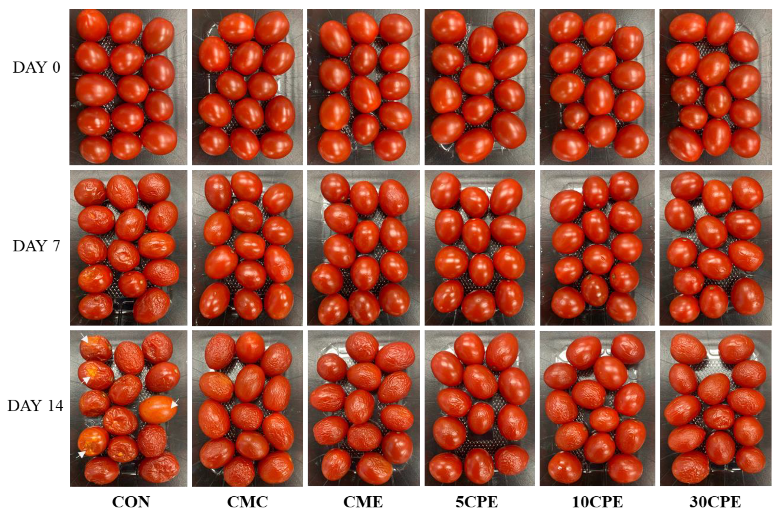 Polymers 14 04884 g010 550