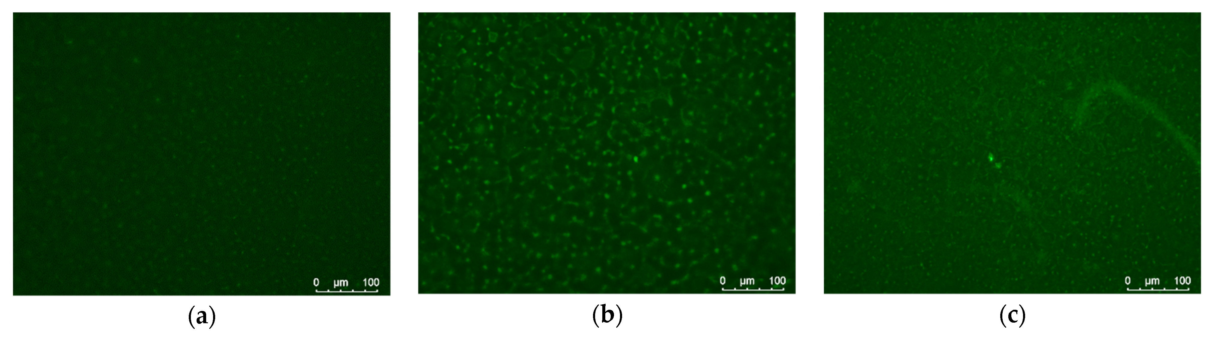 Polymers 14 04886 g005 Polymers 14 04886 g005