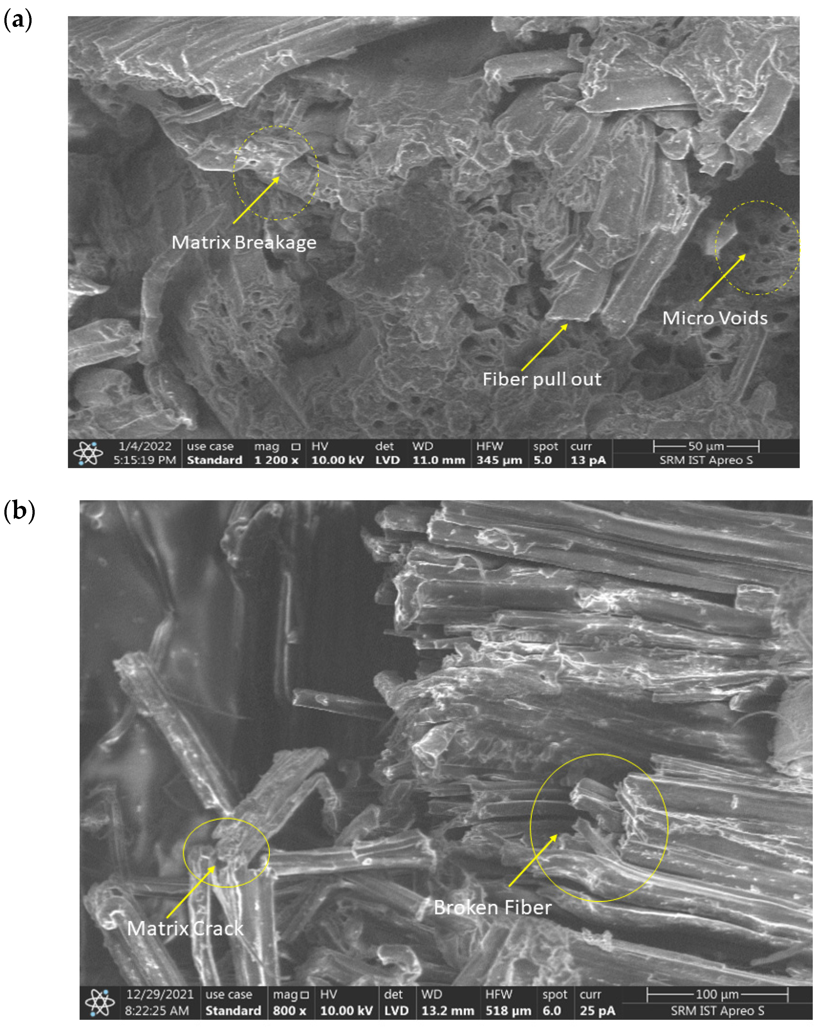 Polymers 14 04887 g014a Polymers 14 04887 g014a