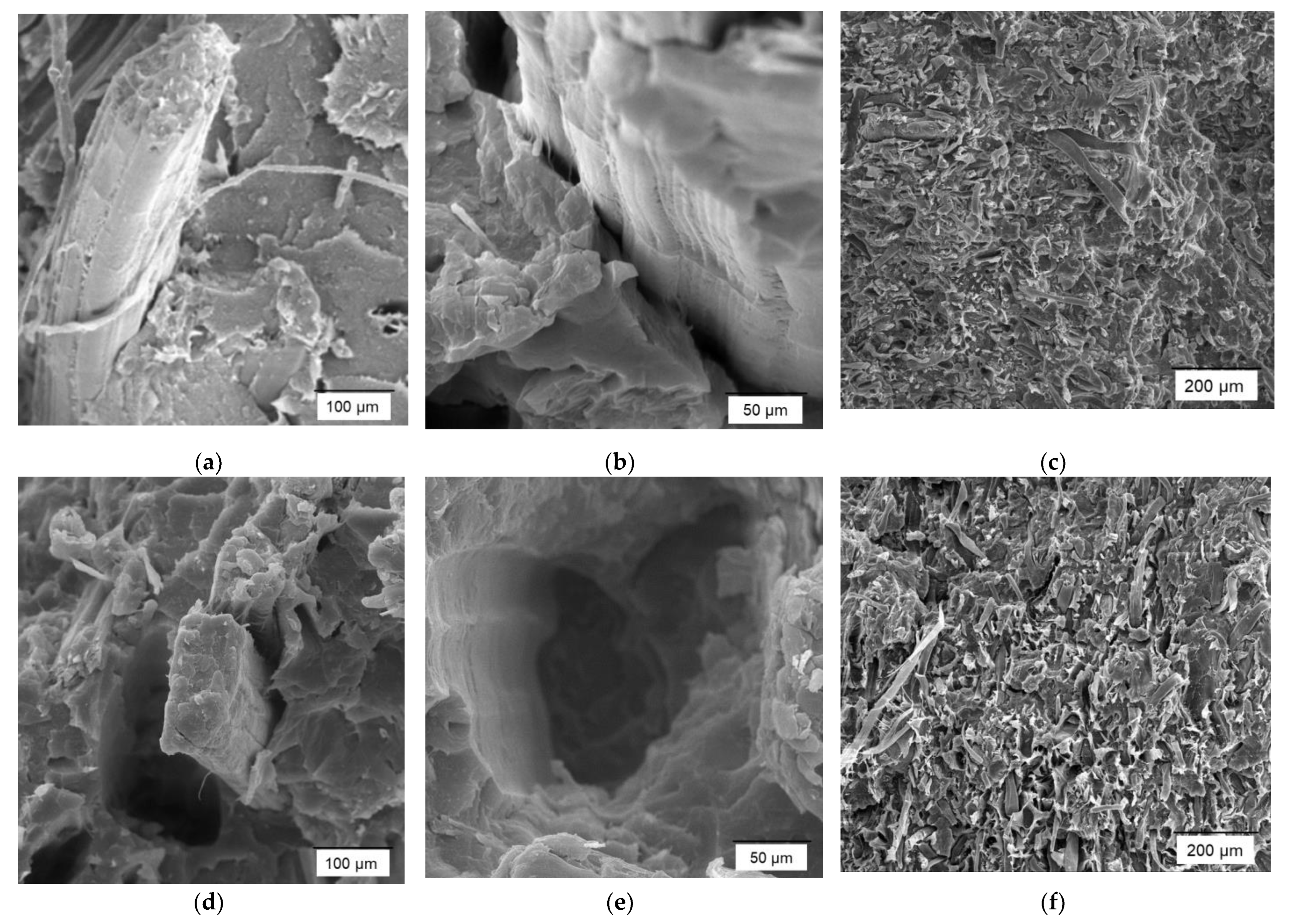 Polymers 14 04890 g002 Polymers 14 04890 g002