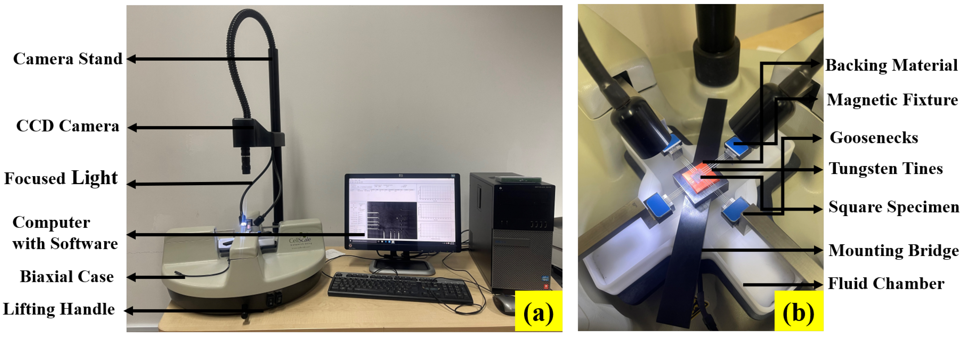 Polymers 14 04891 g001 Polymers 14 04891 g001