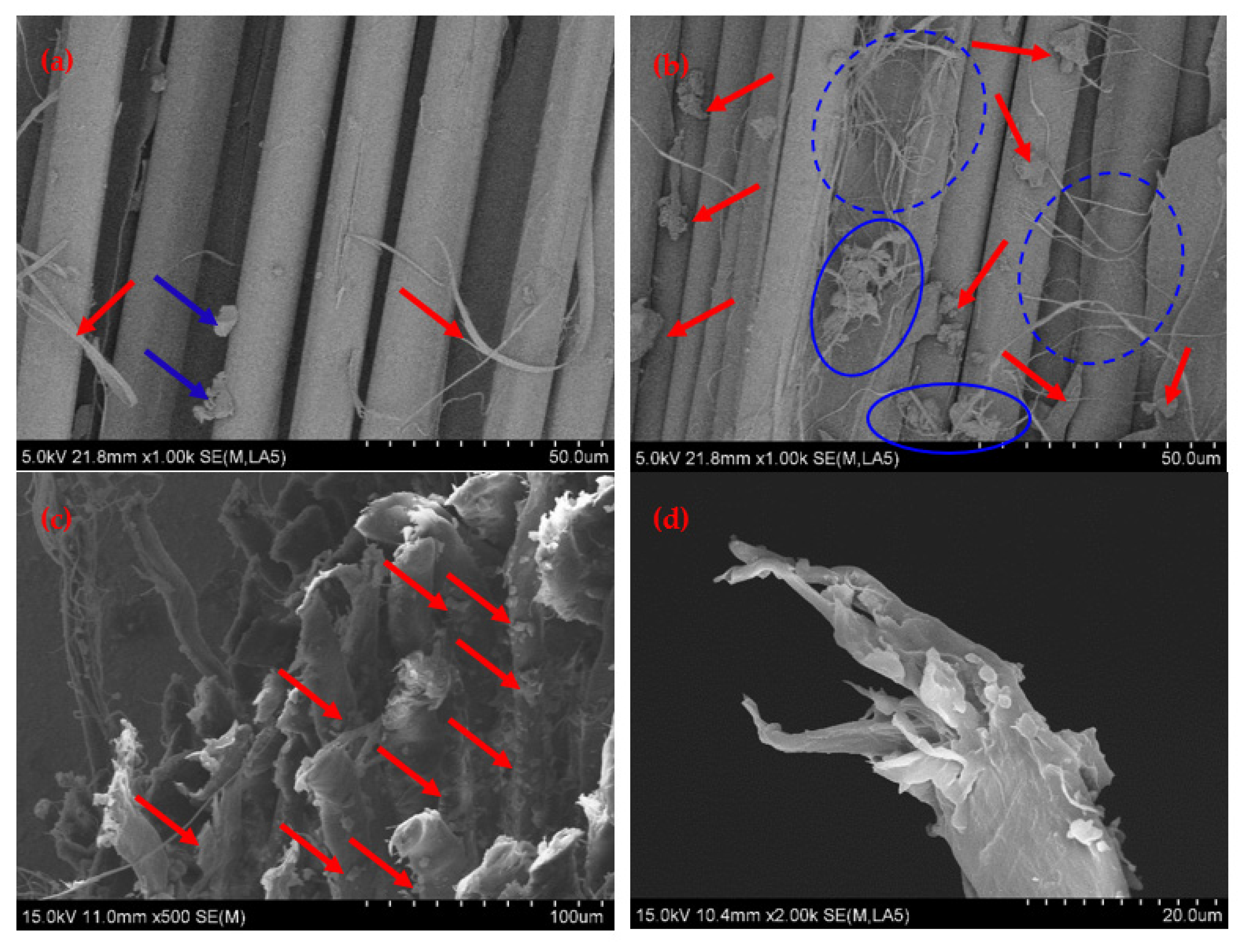 Polymers 14 04892 g012