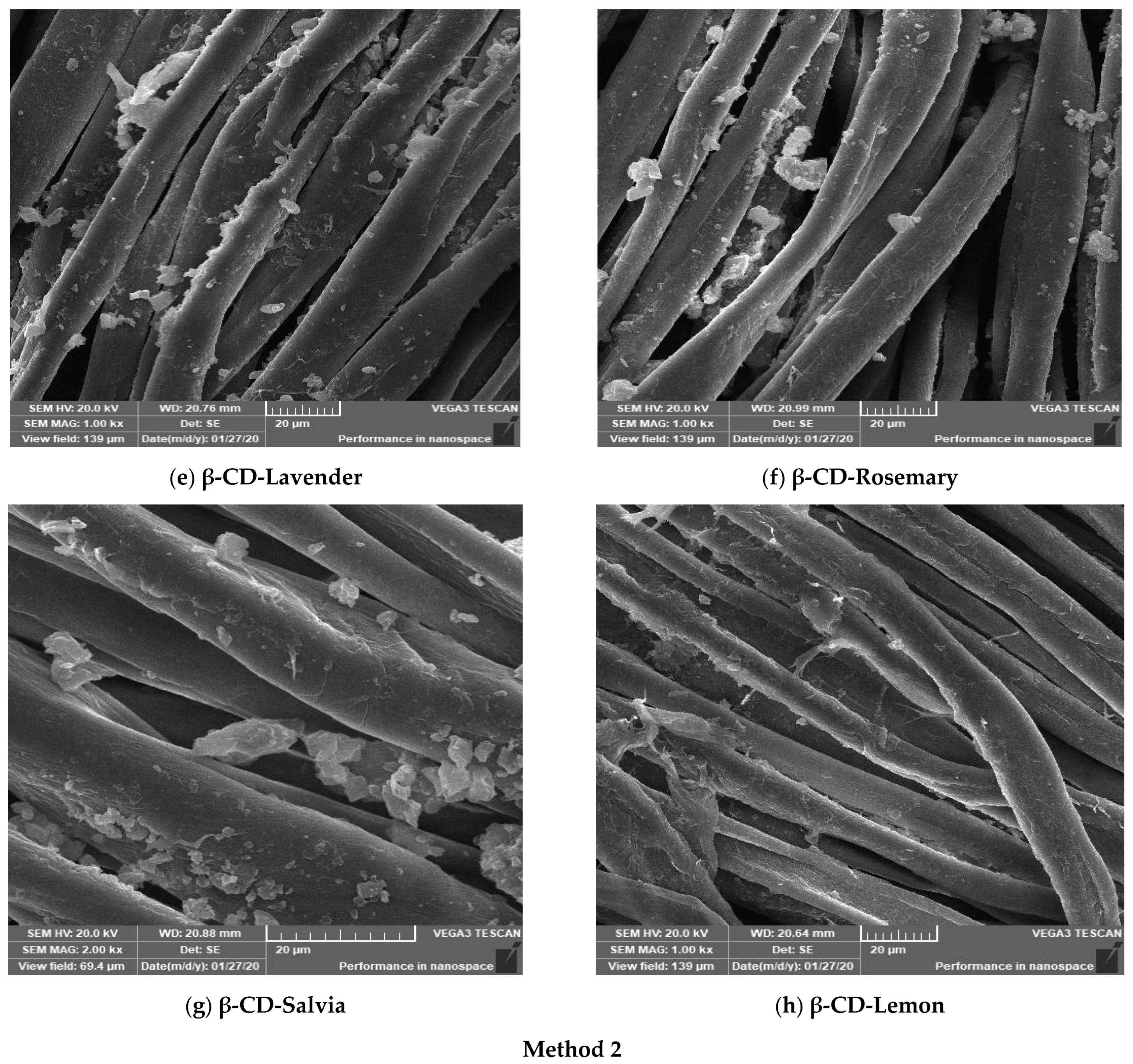 Polymers 14 04899 g002b Polymers 14 04899 g002b