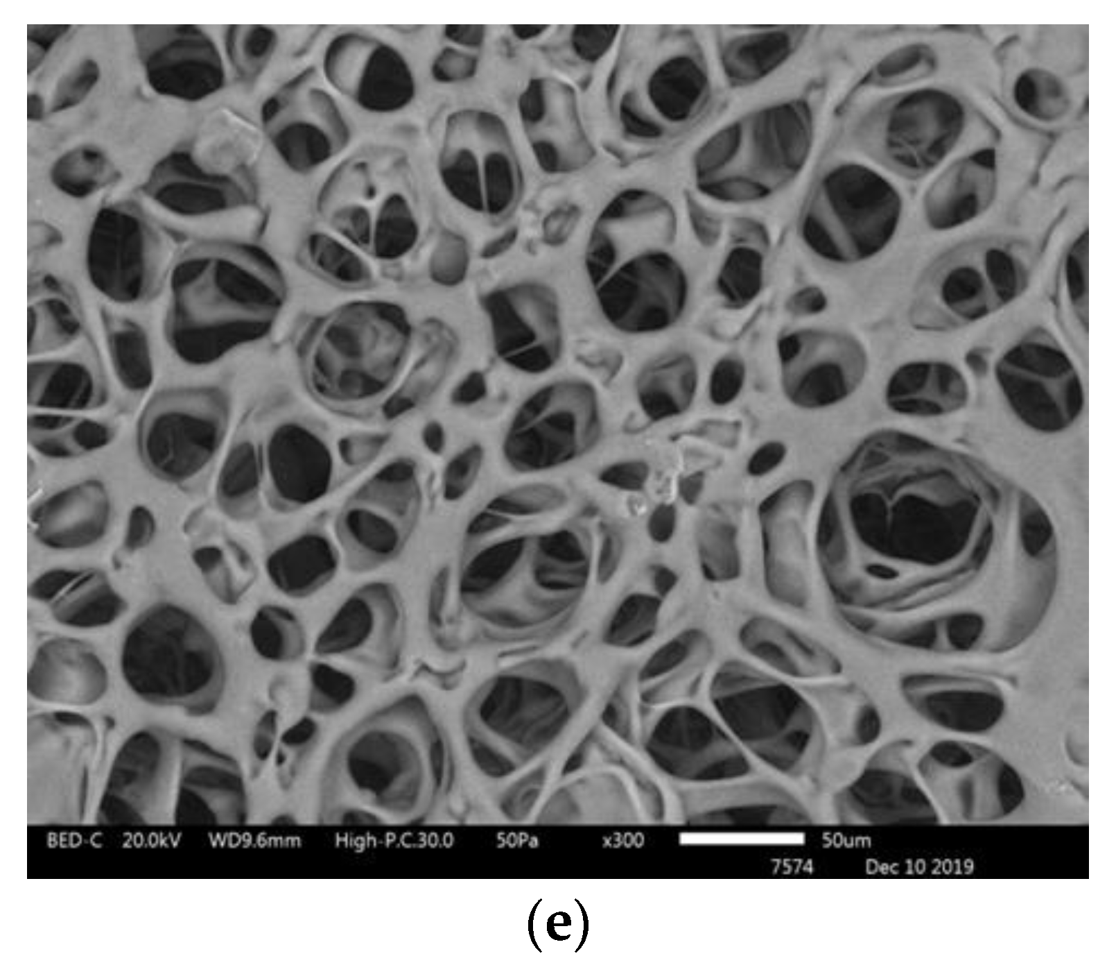 Polymers 14 04900 g003b
