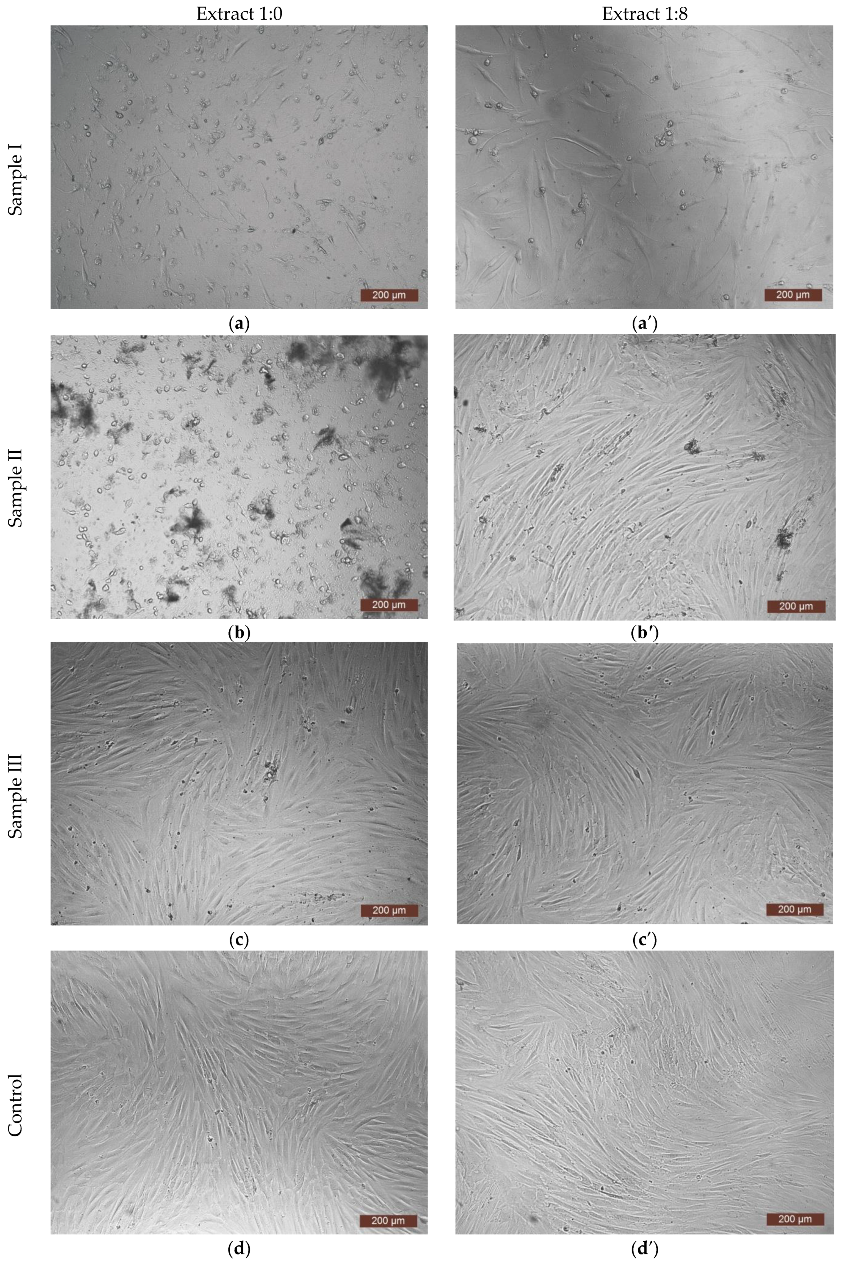 Polymers 14 04900 g004