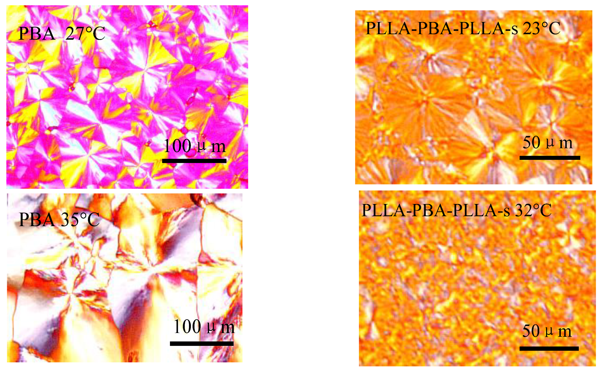 Polymers 14 04902 g011 Polymers 14 04902 g011
