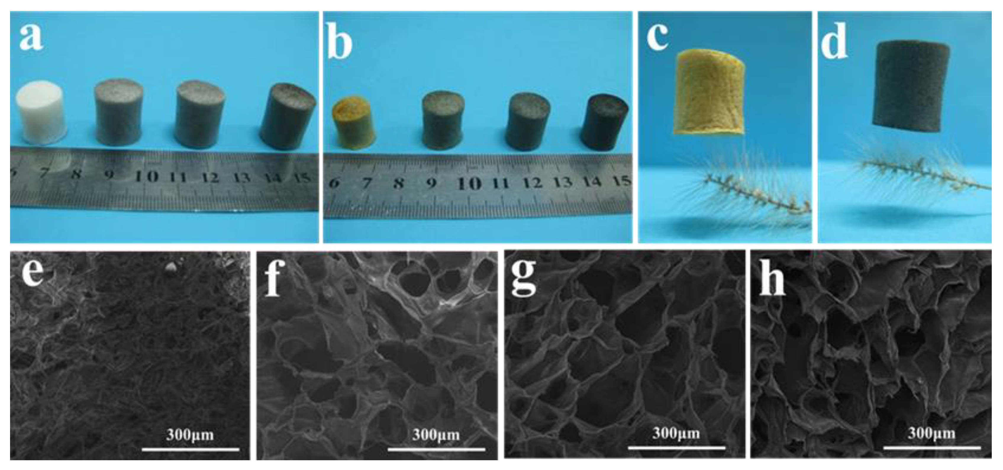 Polymers 14 04903 g001