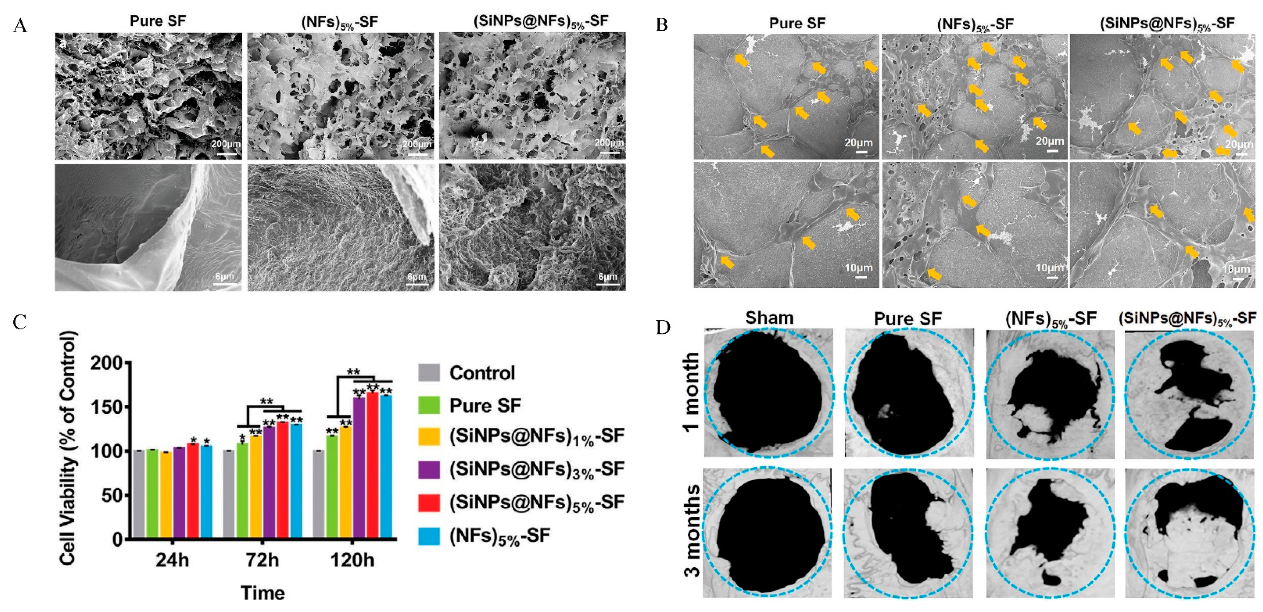 Polymers 14 04906 g009