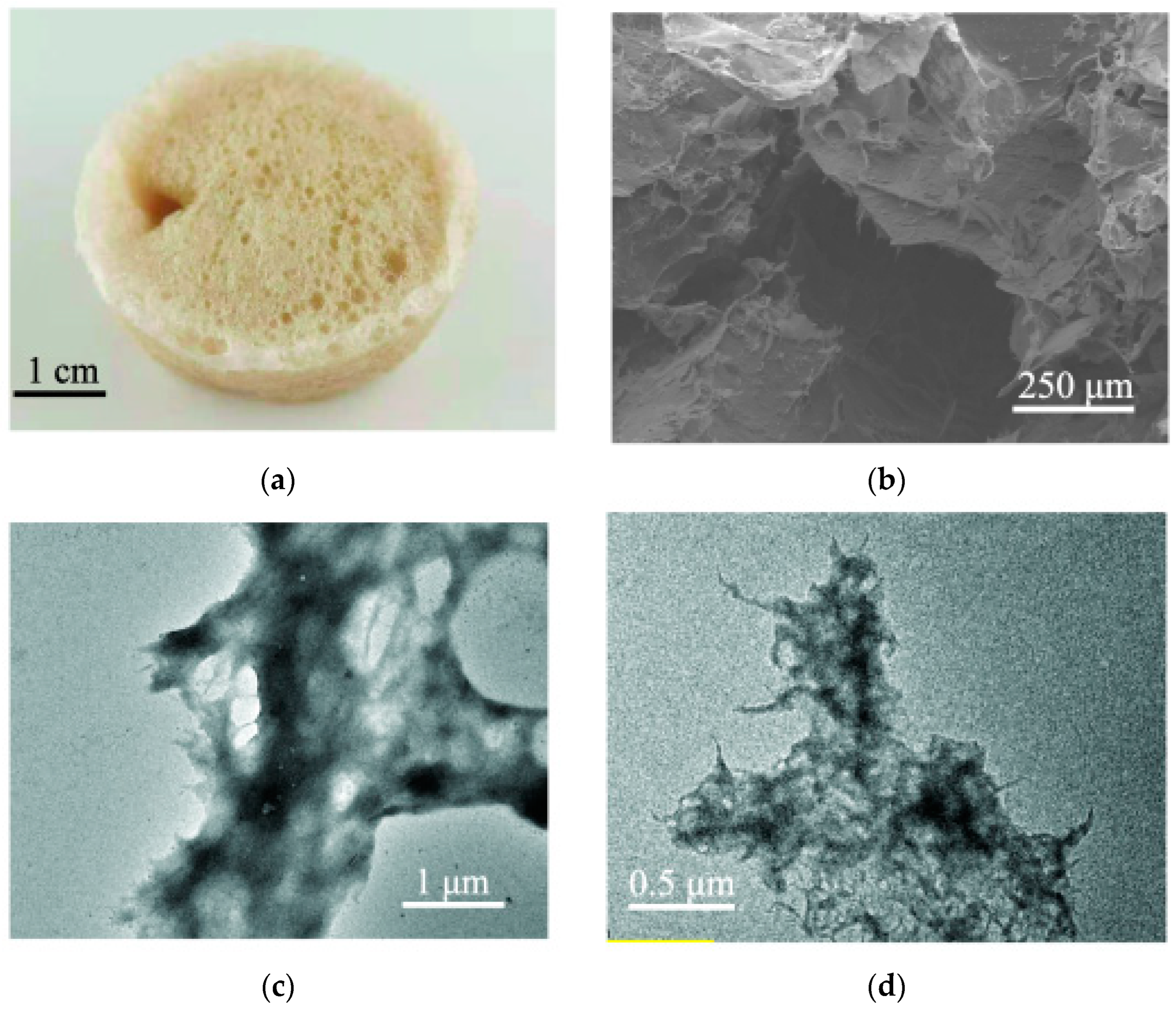 Polymers 14 04909 g002a