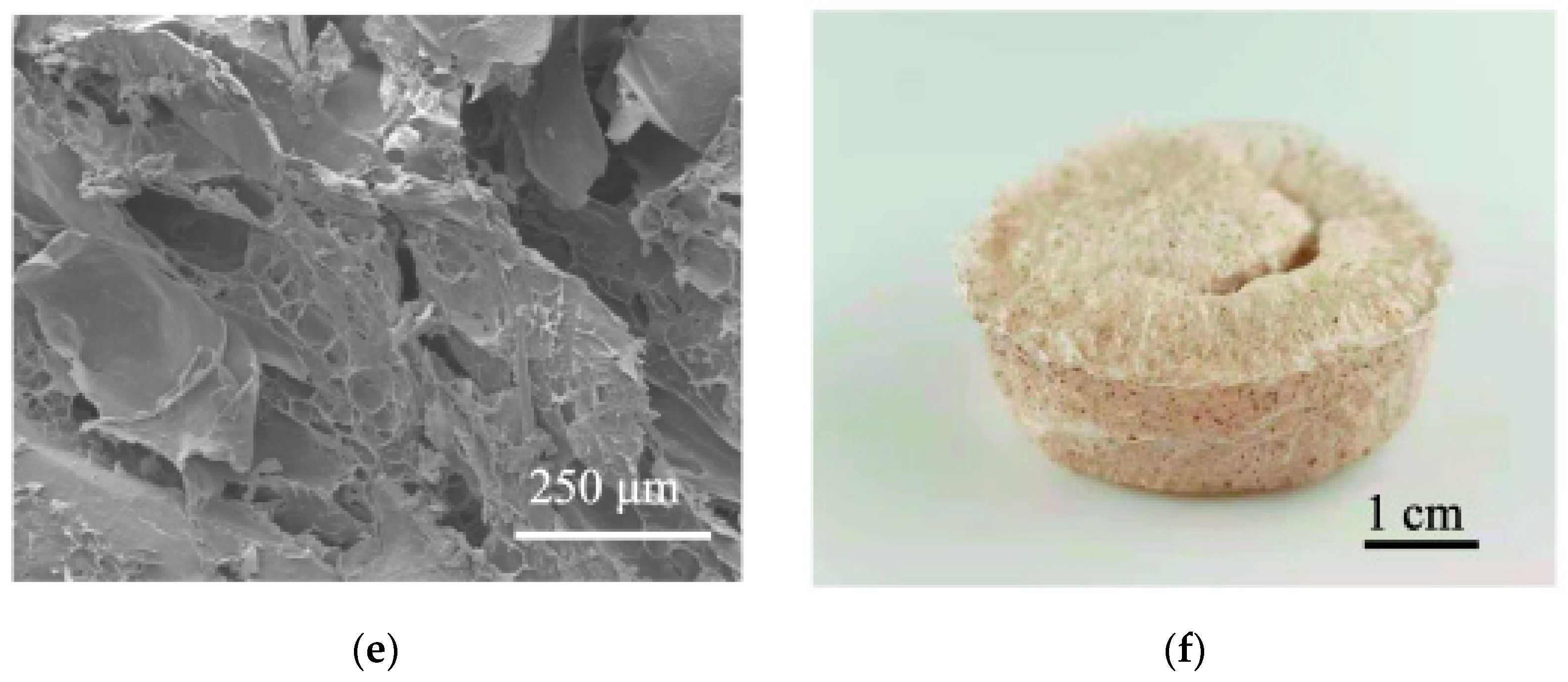 Polymers 14 04909 g002b