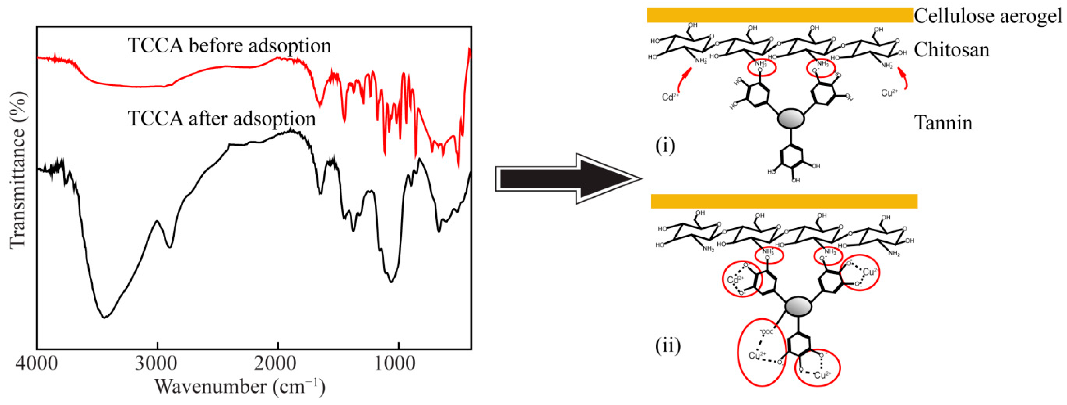 Polymers 14 04909 g006
