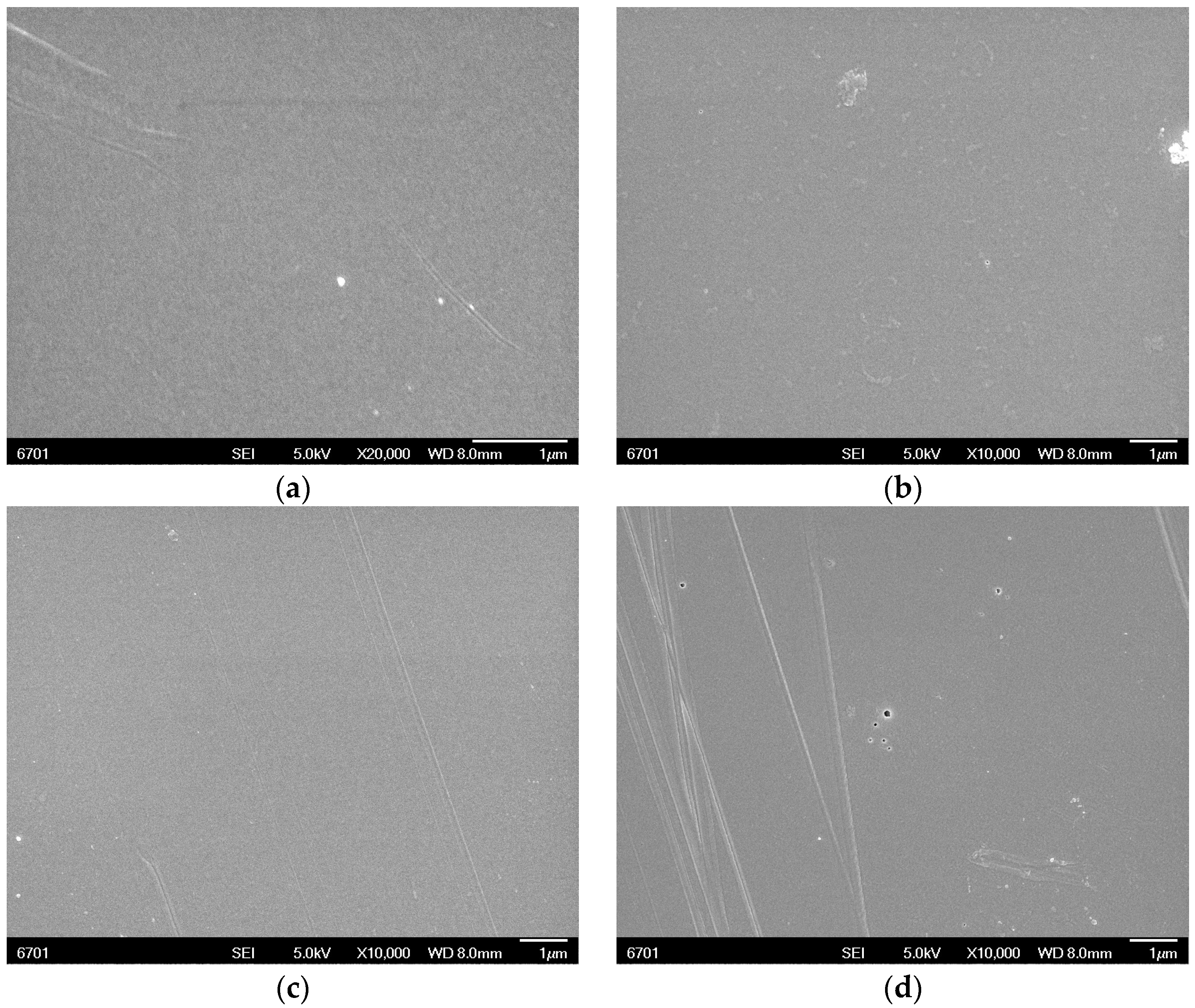 Polymers 14 04910 g003 Polymers 14 04910 g003