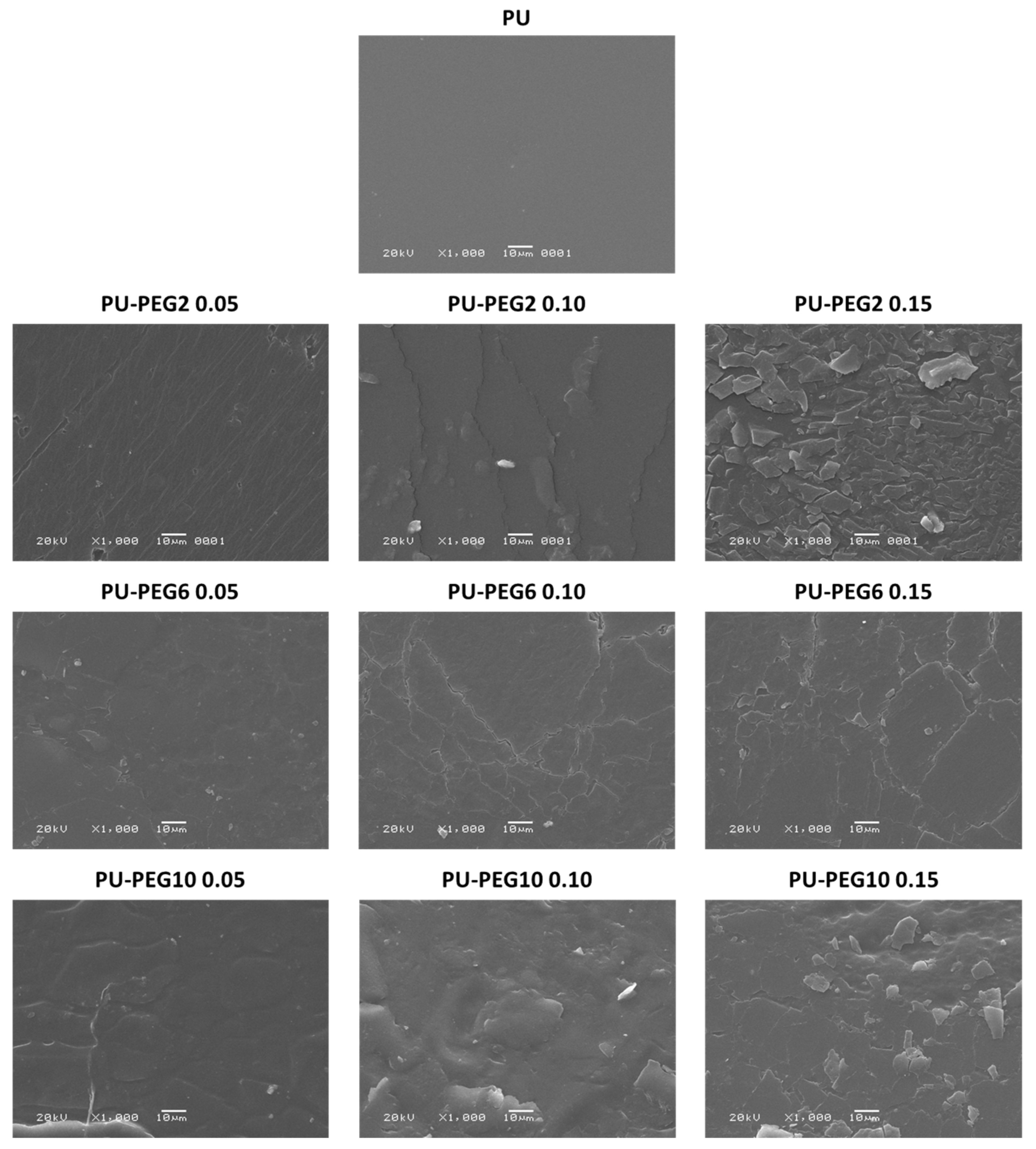 Polymers 14 04912 g003