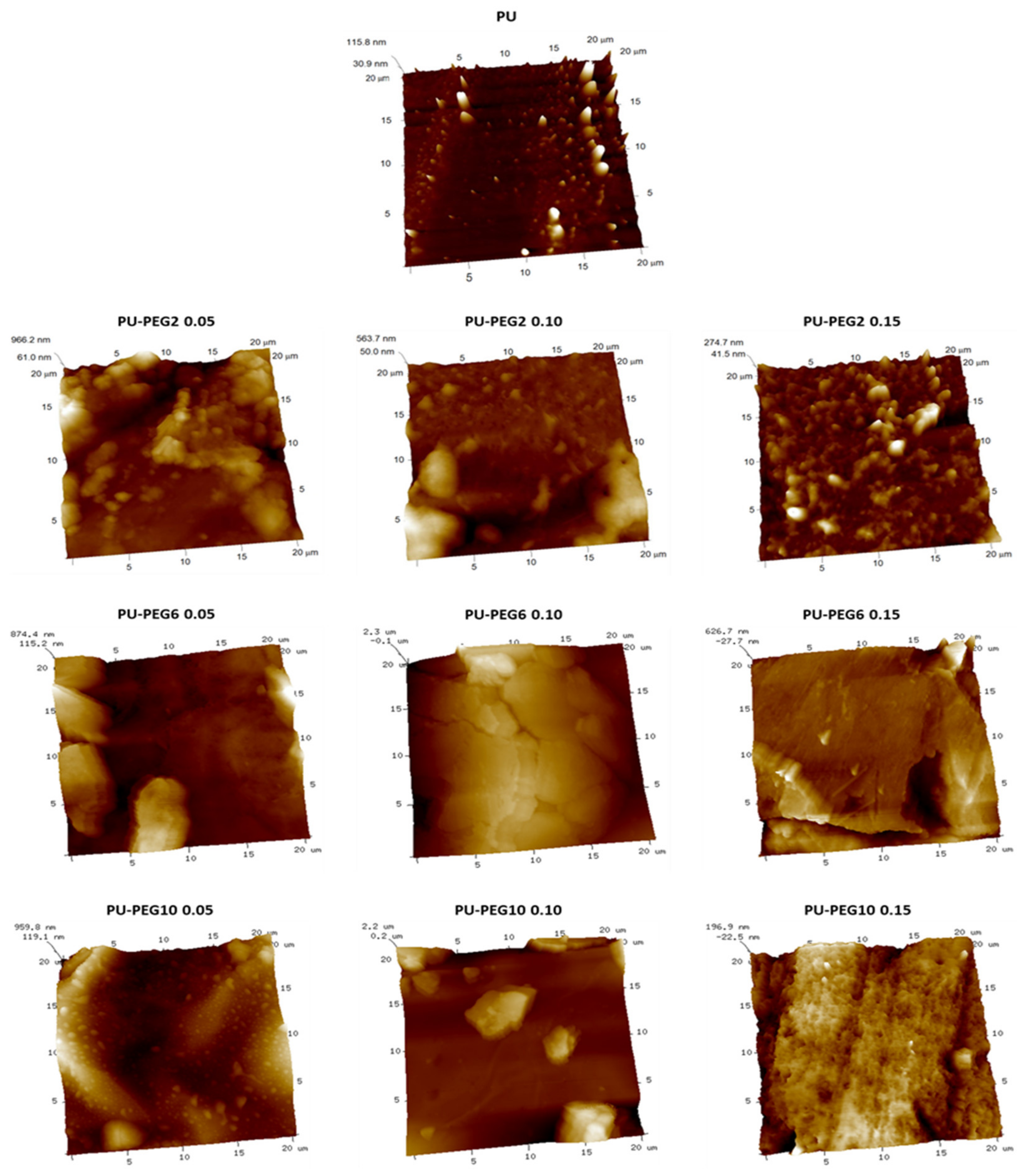 Polymers 14 04912 g004