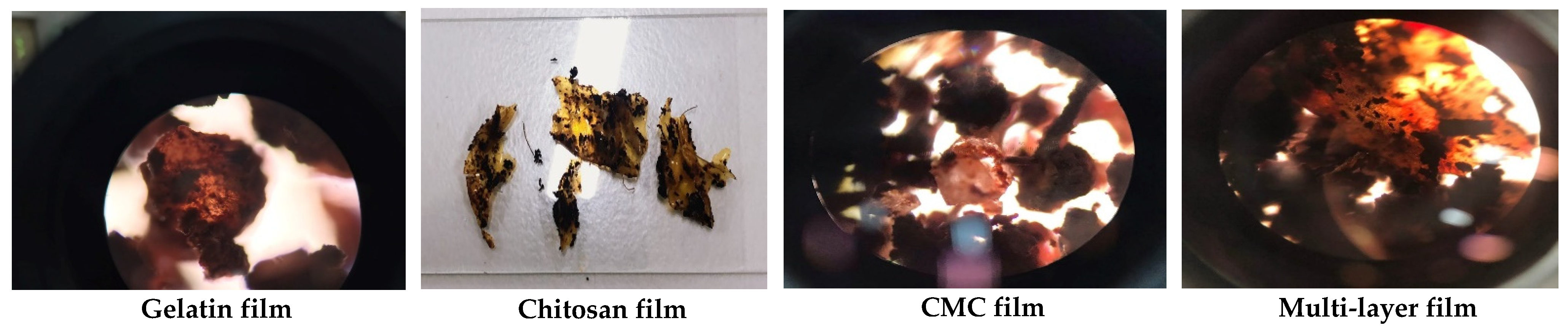 Polymers 14 04914 g005 Polymers 14 04914 g005