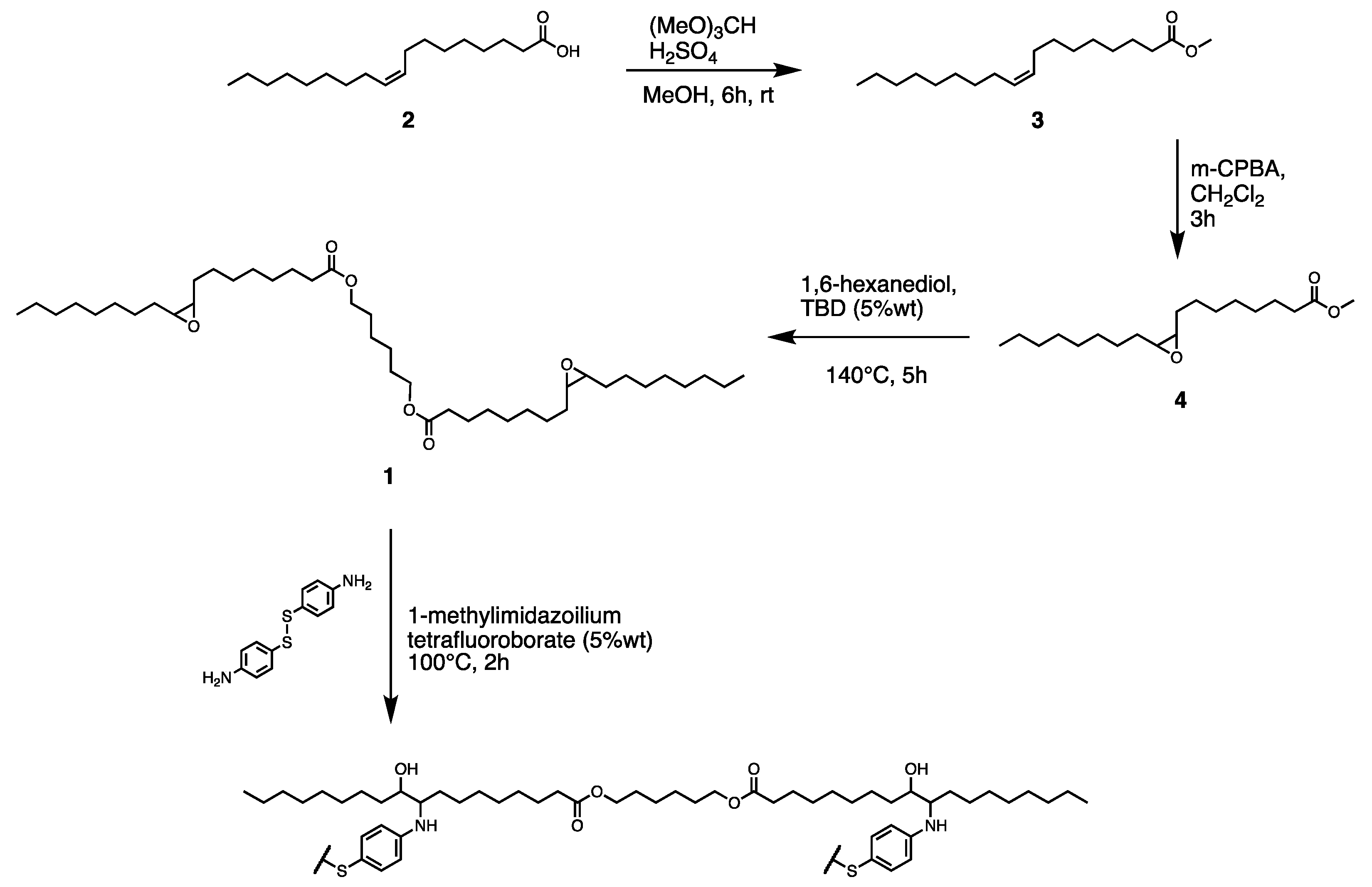 Polymers 14 04919 g001