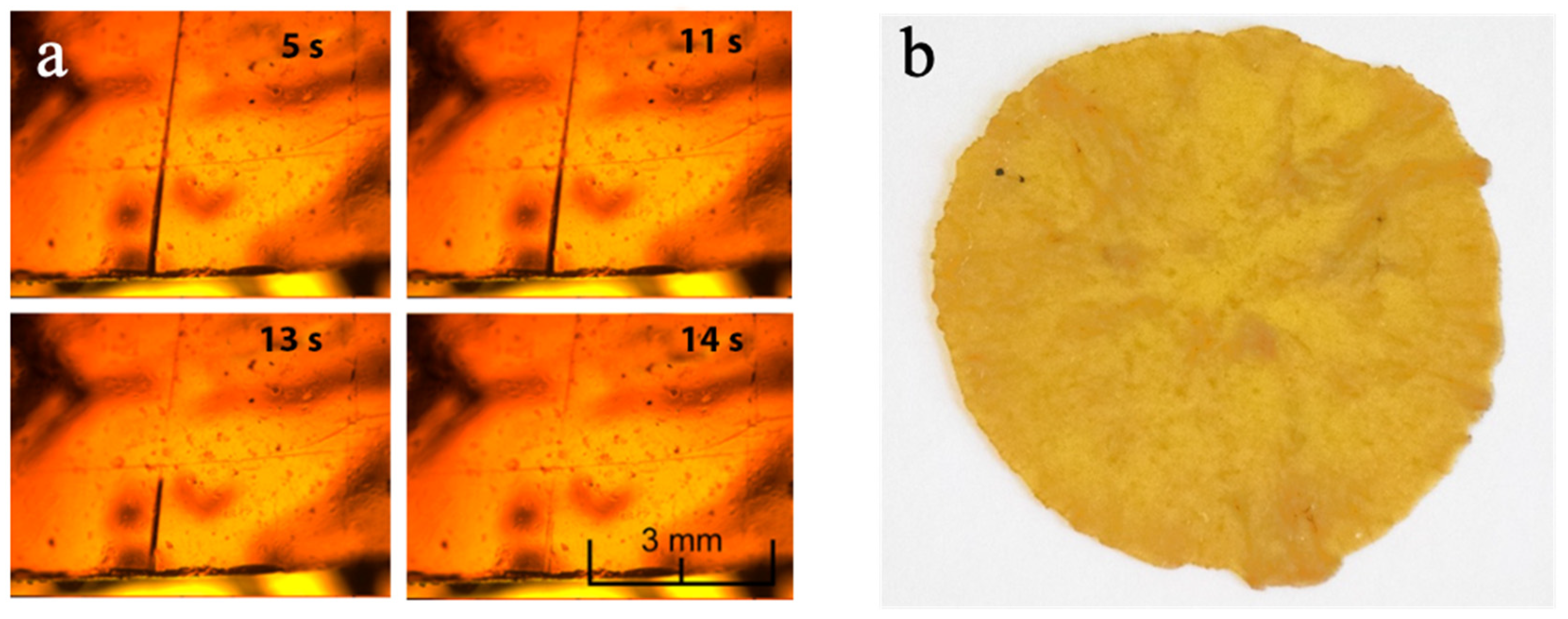 Polymers 14 04919 g004