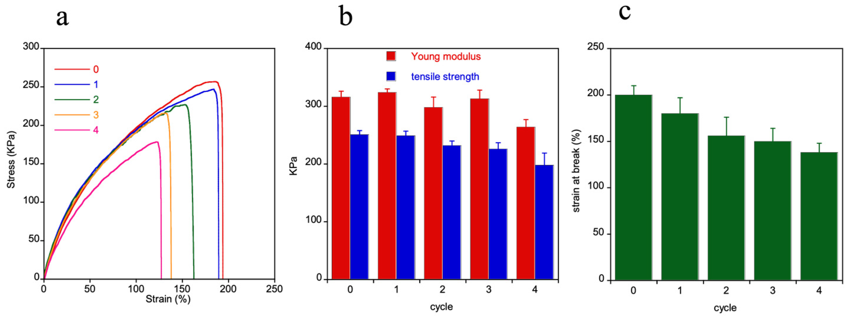Polymers 14 04919 g008