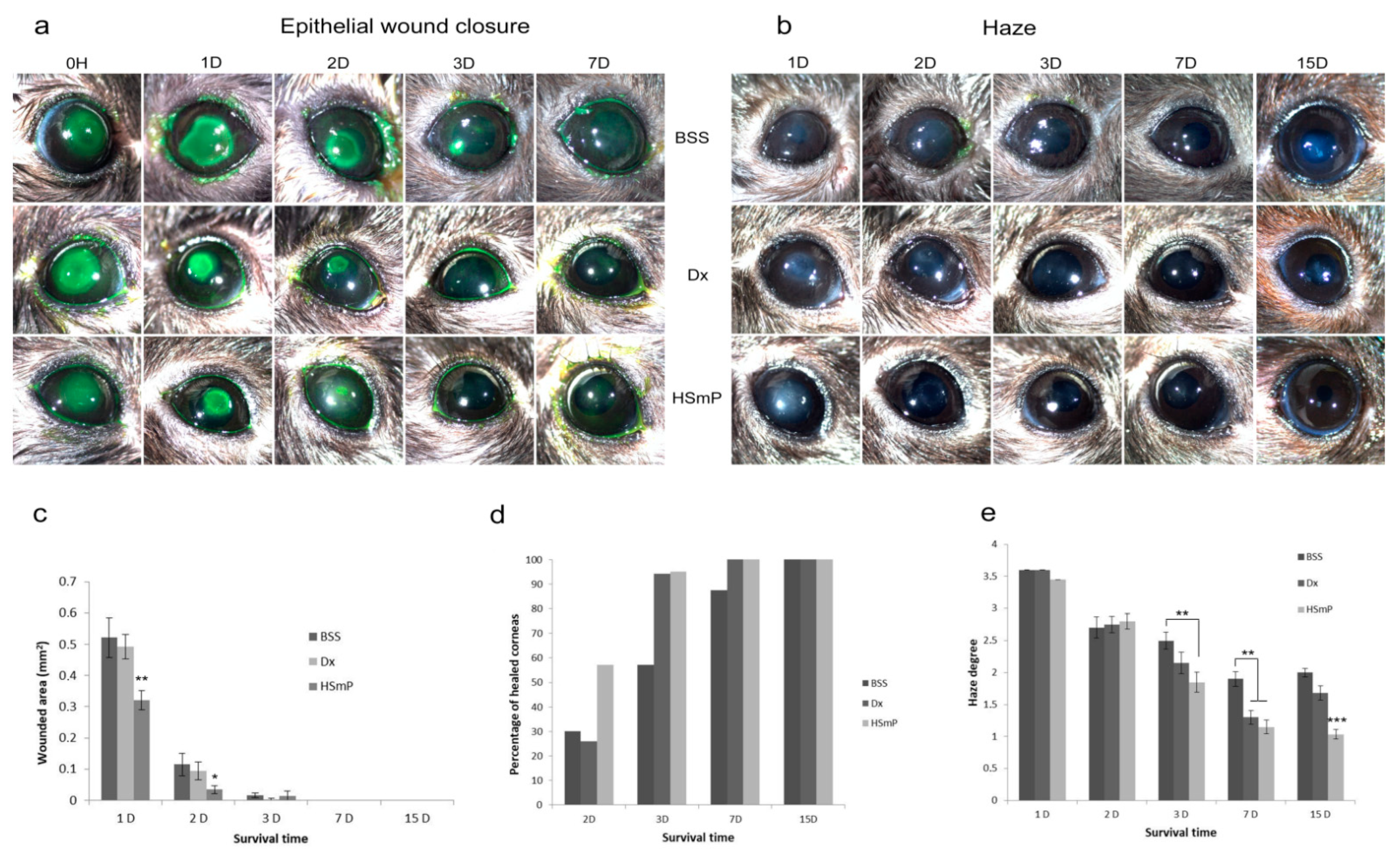 Polymers 14 04921 g001 Polymers 14 04921 g001