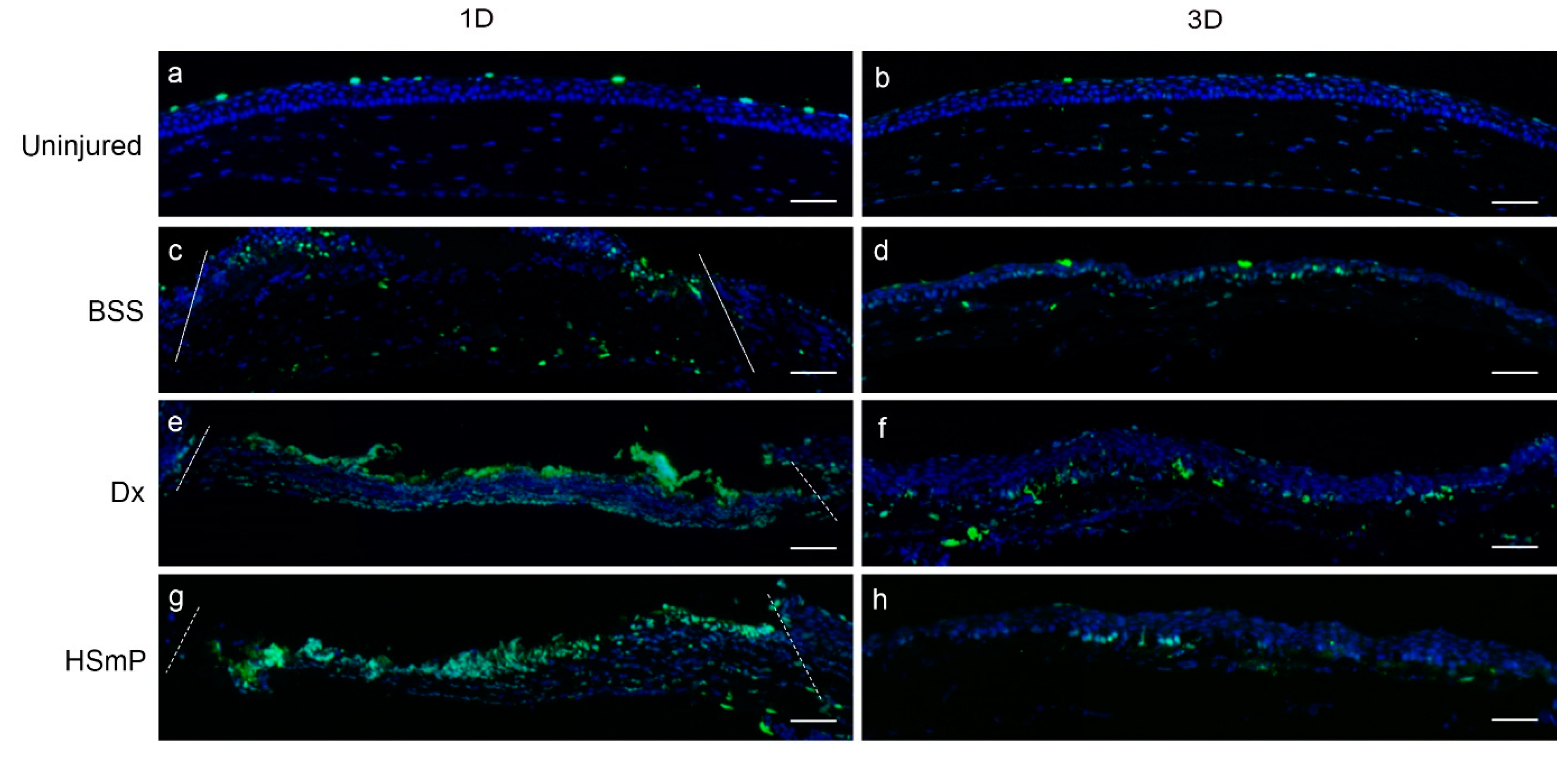 Polymers 14 04921 g003 Polymers 14 04921 g003