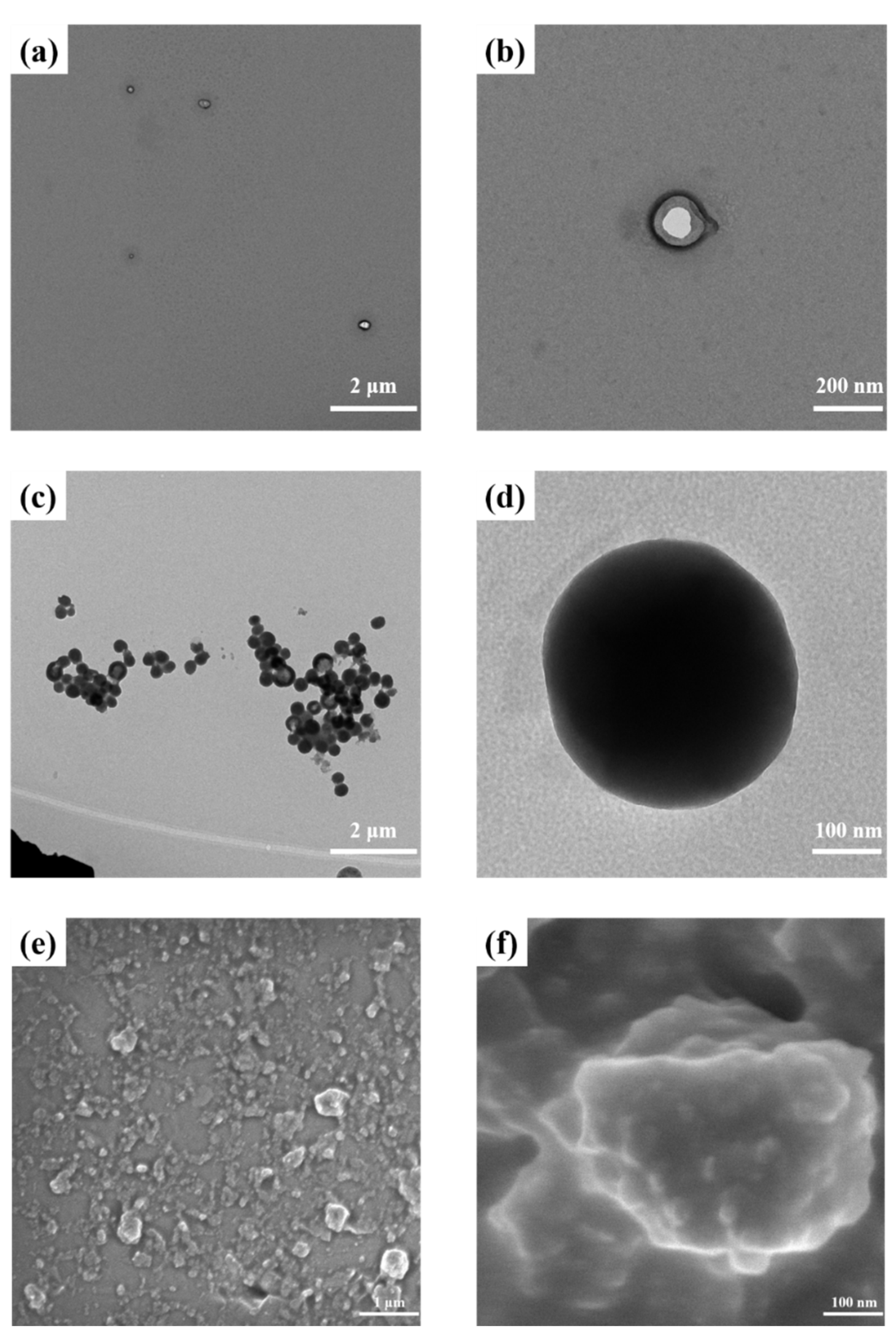 Polymers 14 04923 g003 Polymers 14 04923 g003