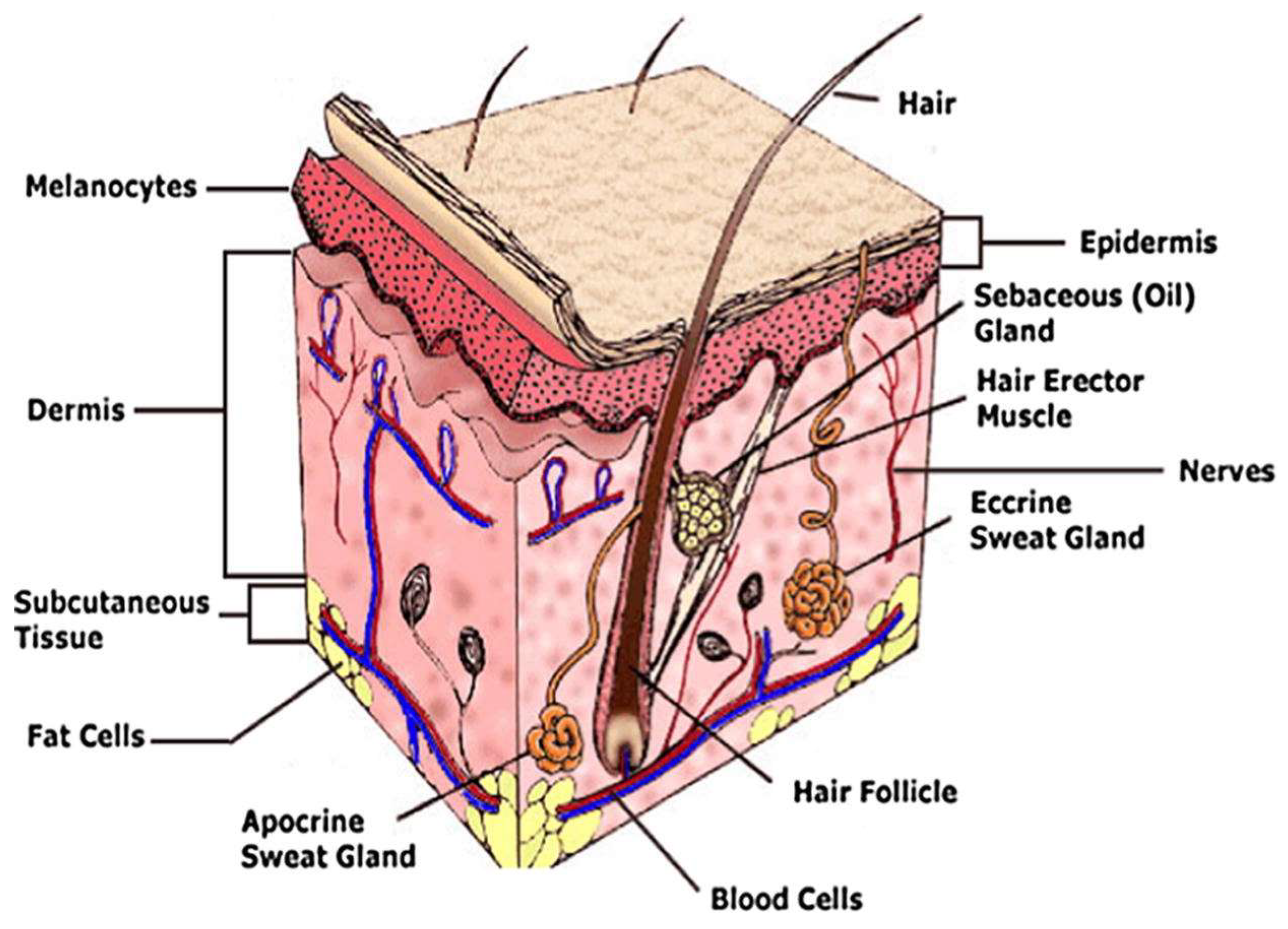 Polymers 14 04924 g004 Polymers 14 04924 g004