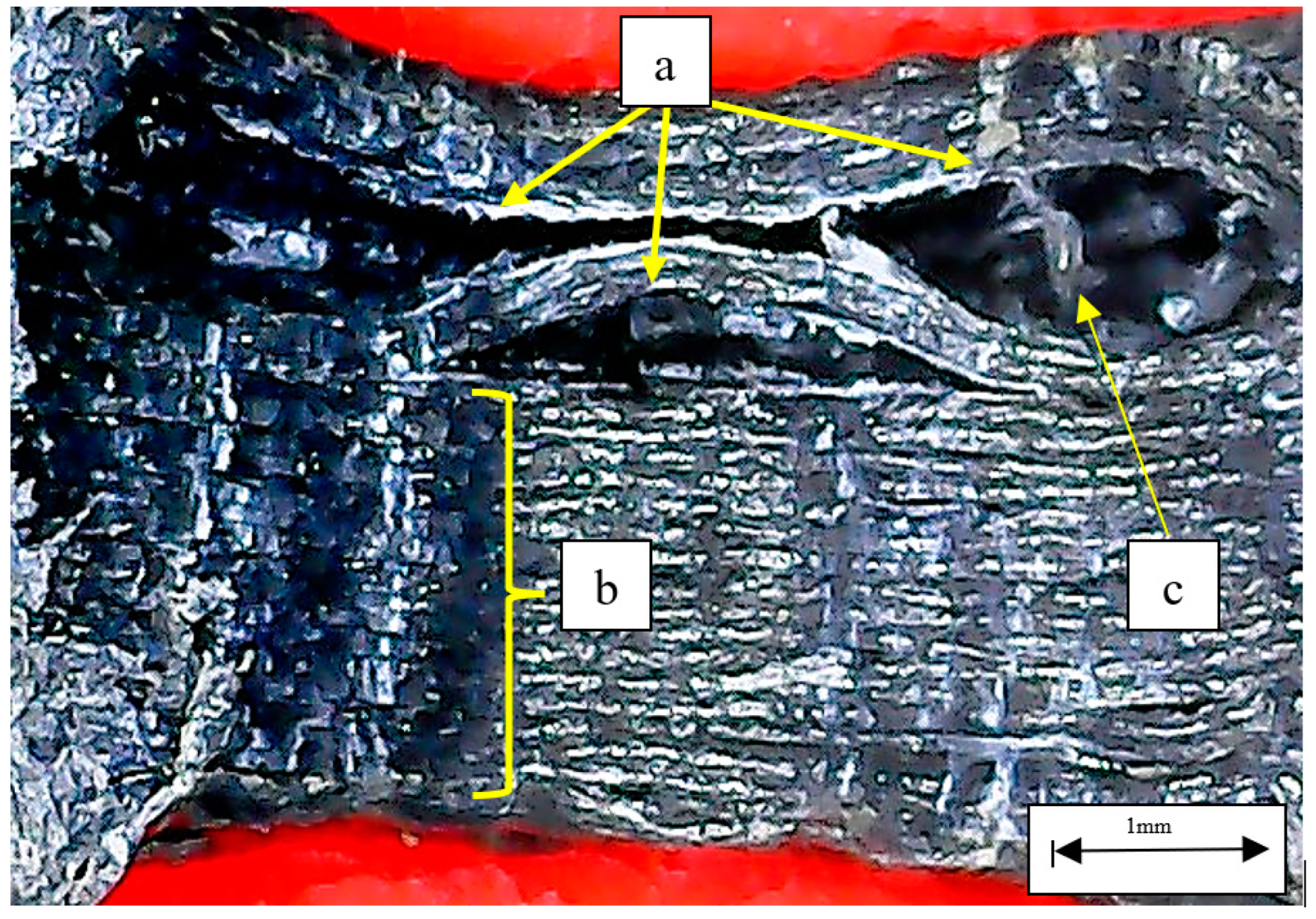 Polymers 14 04925 g010