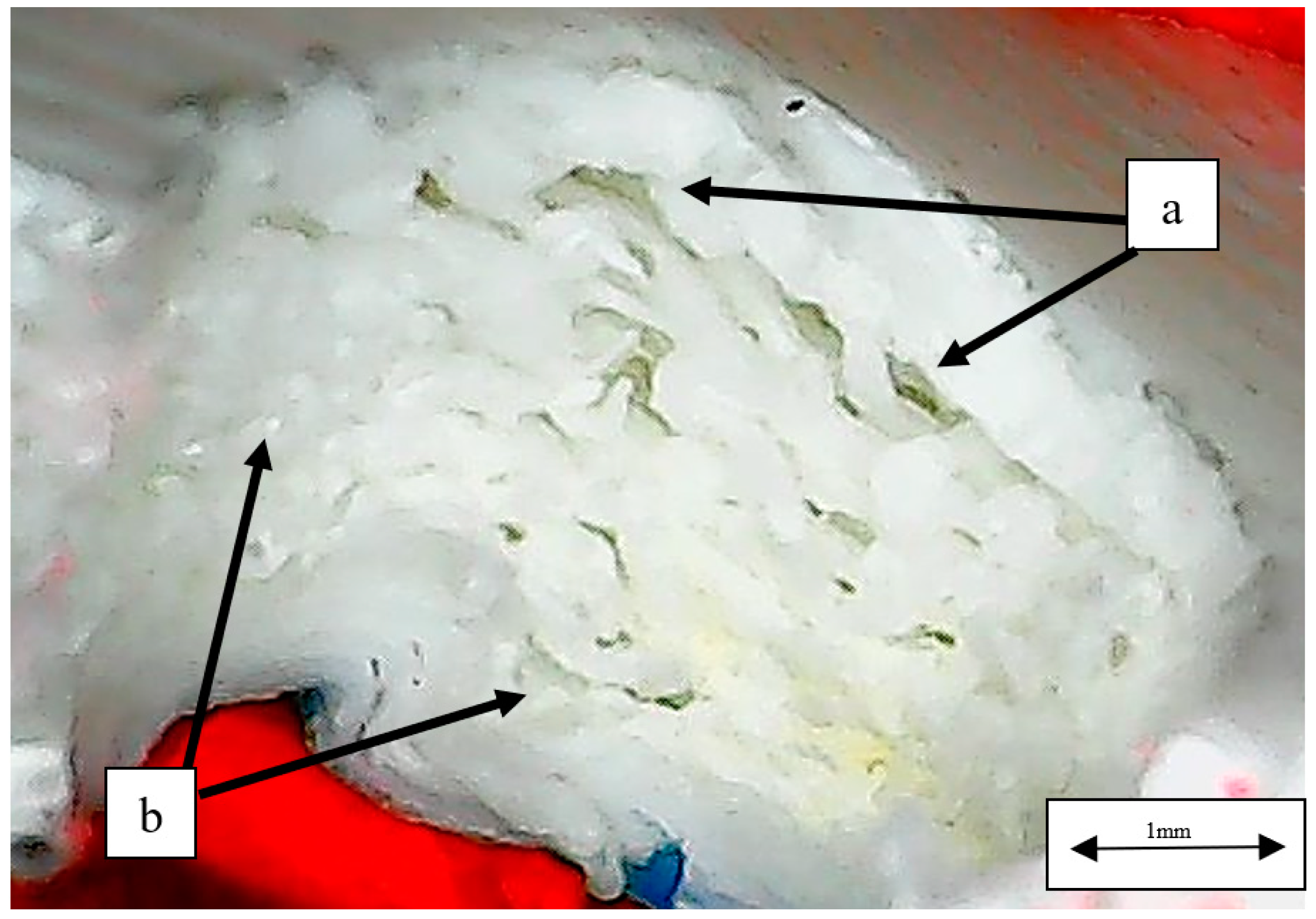 Polymers 14 04925 g011