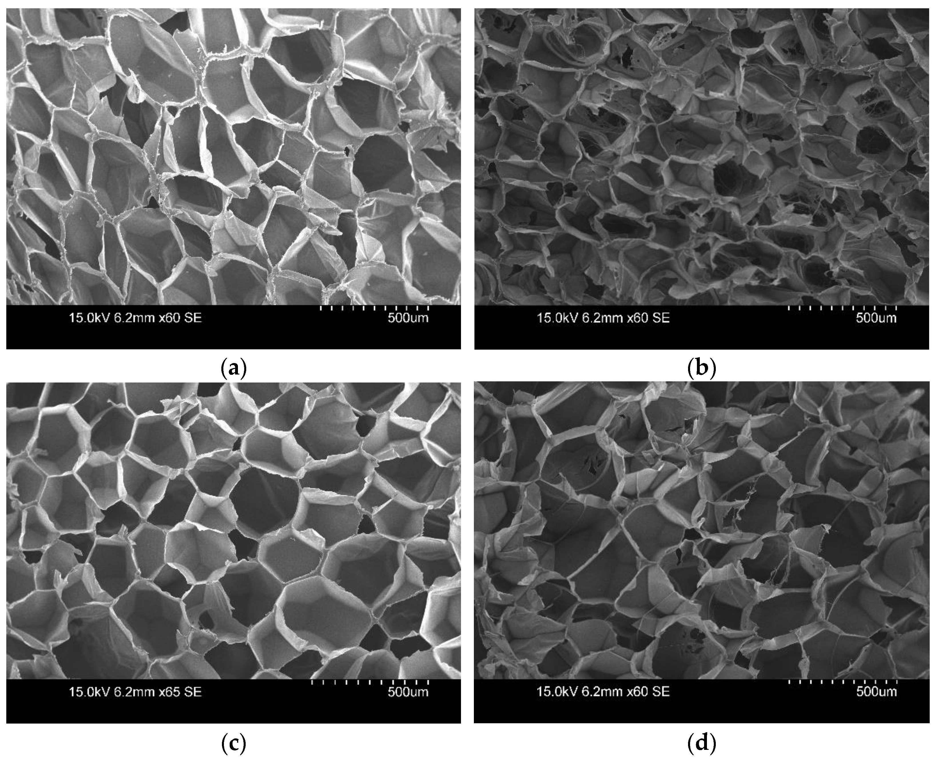 Polymers 14 04926 g006