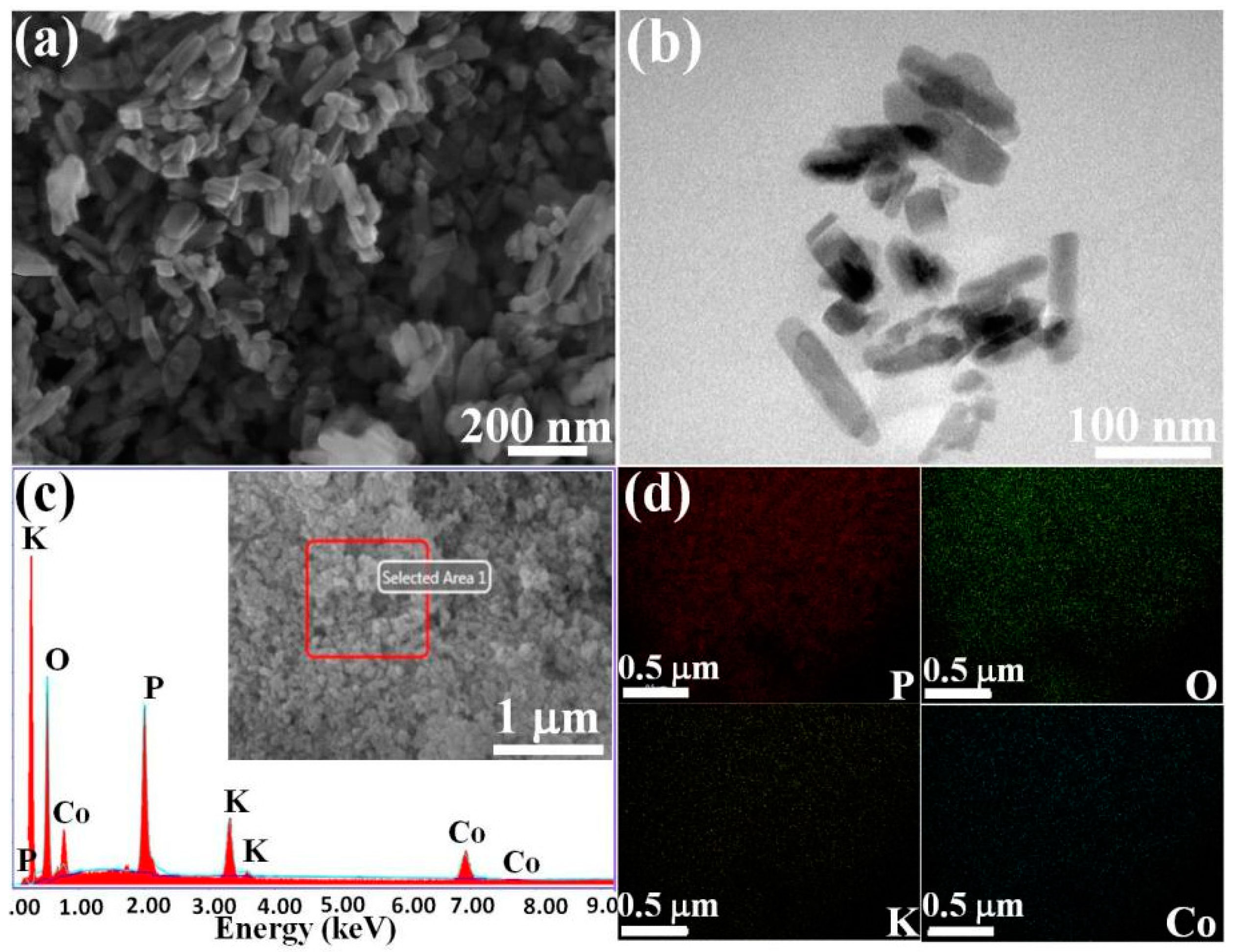 Polymers 14 04927 g002 Polymers 14 04927 g002