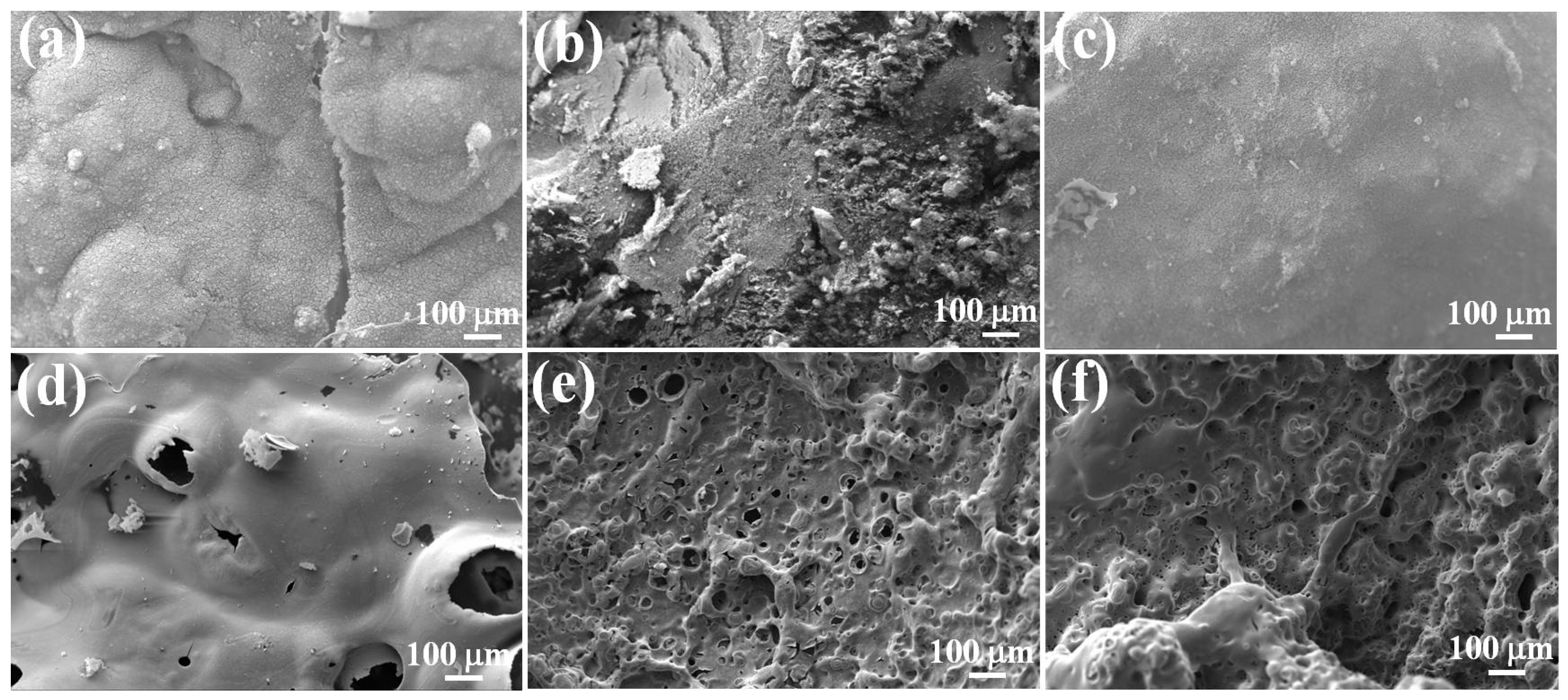 Polymers 14 04927 g007 Polymers 14 04927 g007