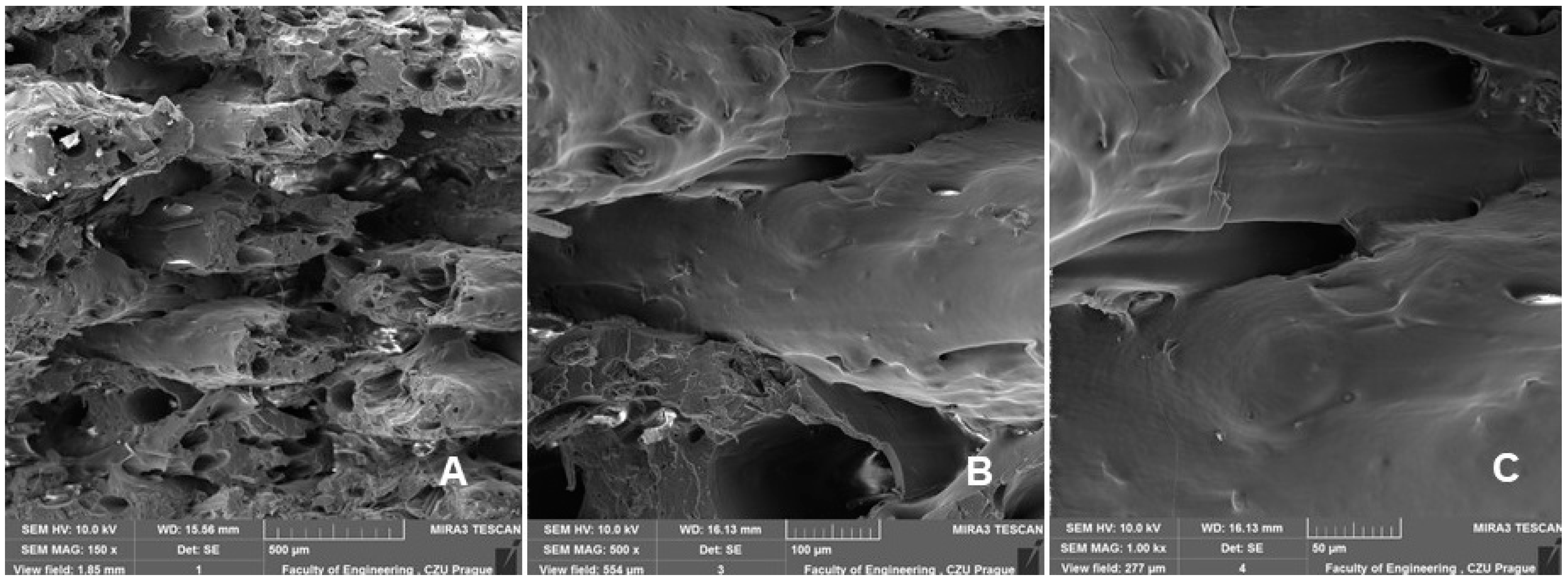 Polymers 14 04930 g012