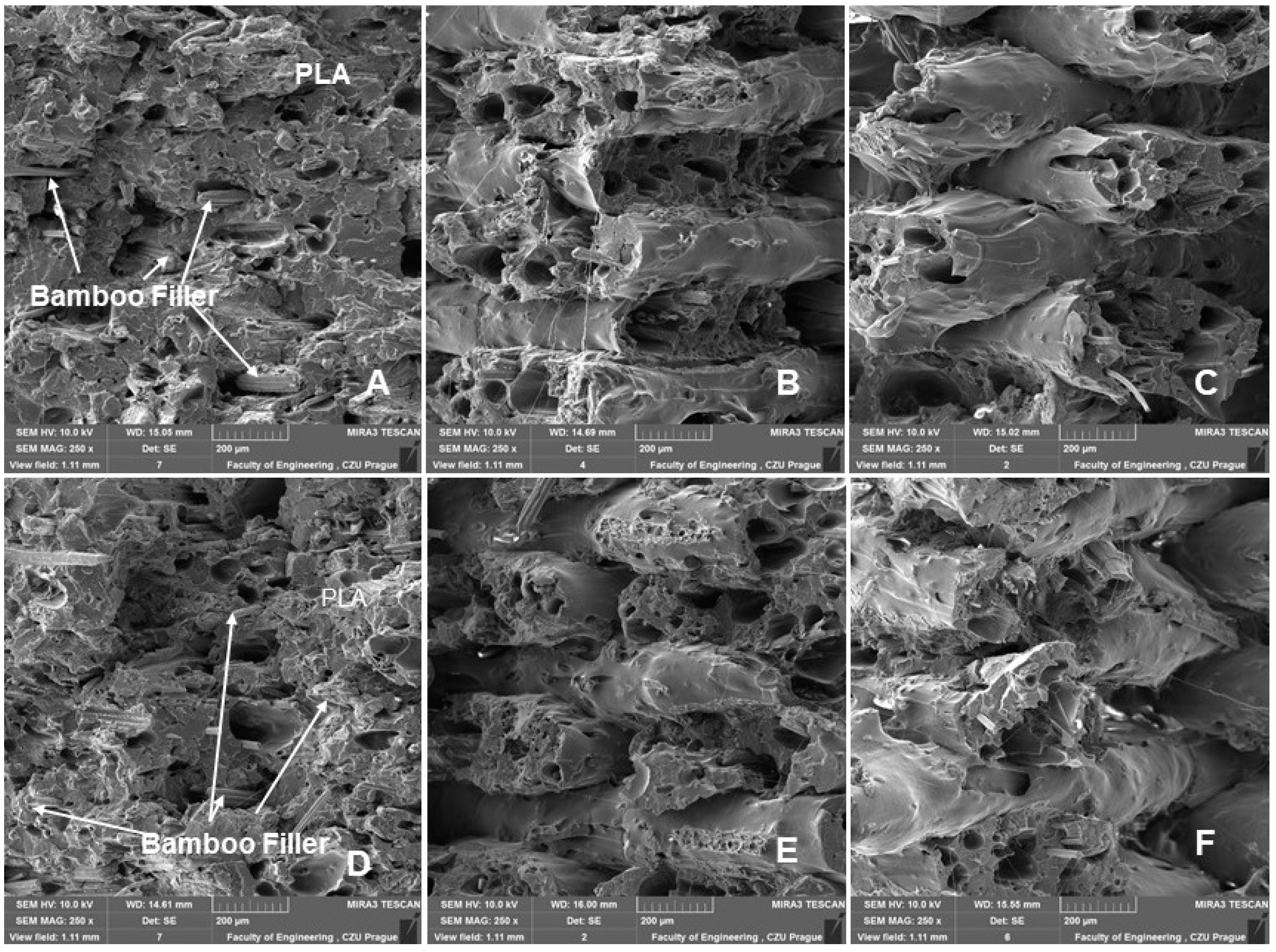 Polymers 14 04930 g013