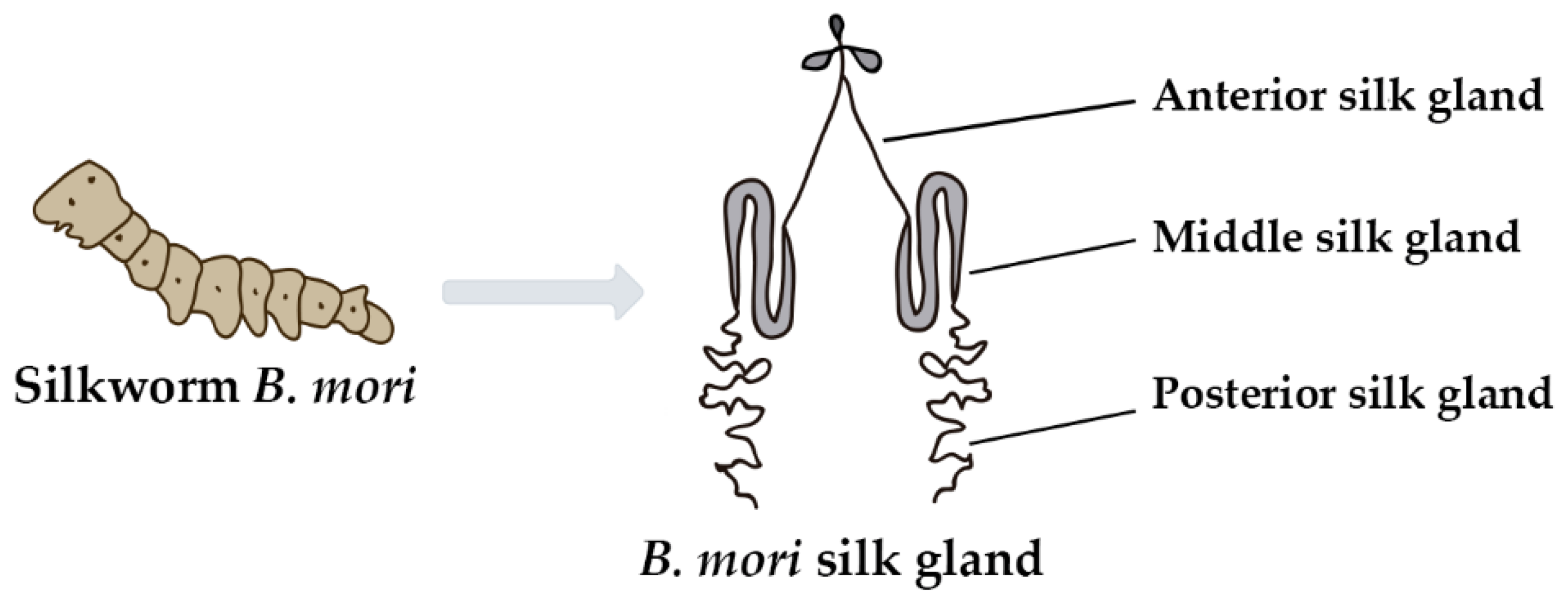 Polymers 14 04931 g003
