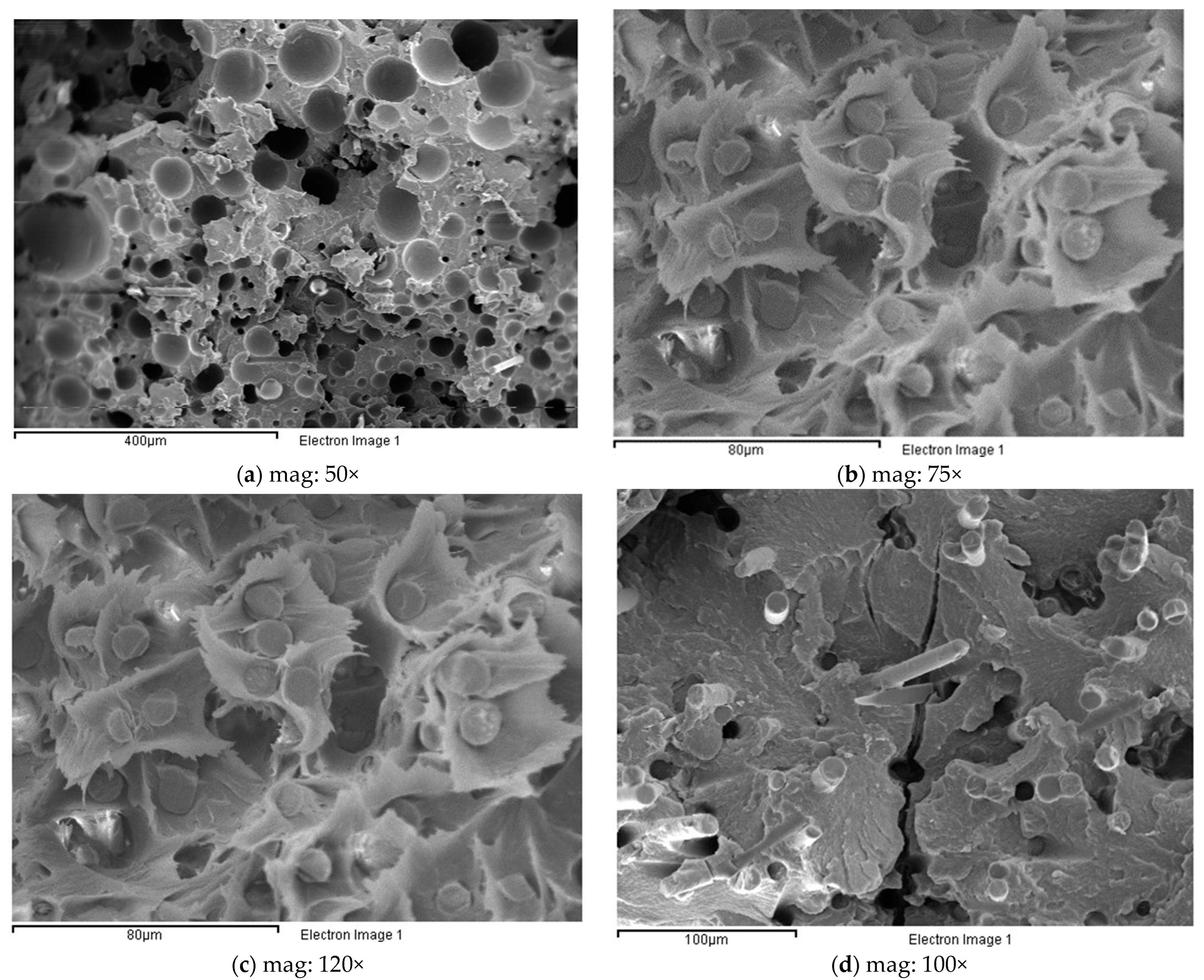 Polymers 14 04940 g010 Polymers 14 04940 g010