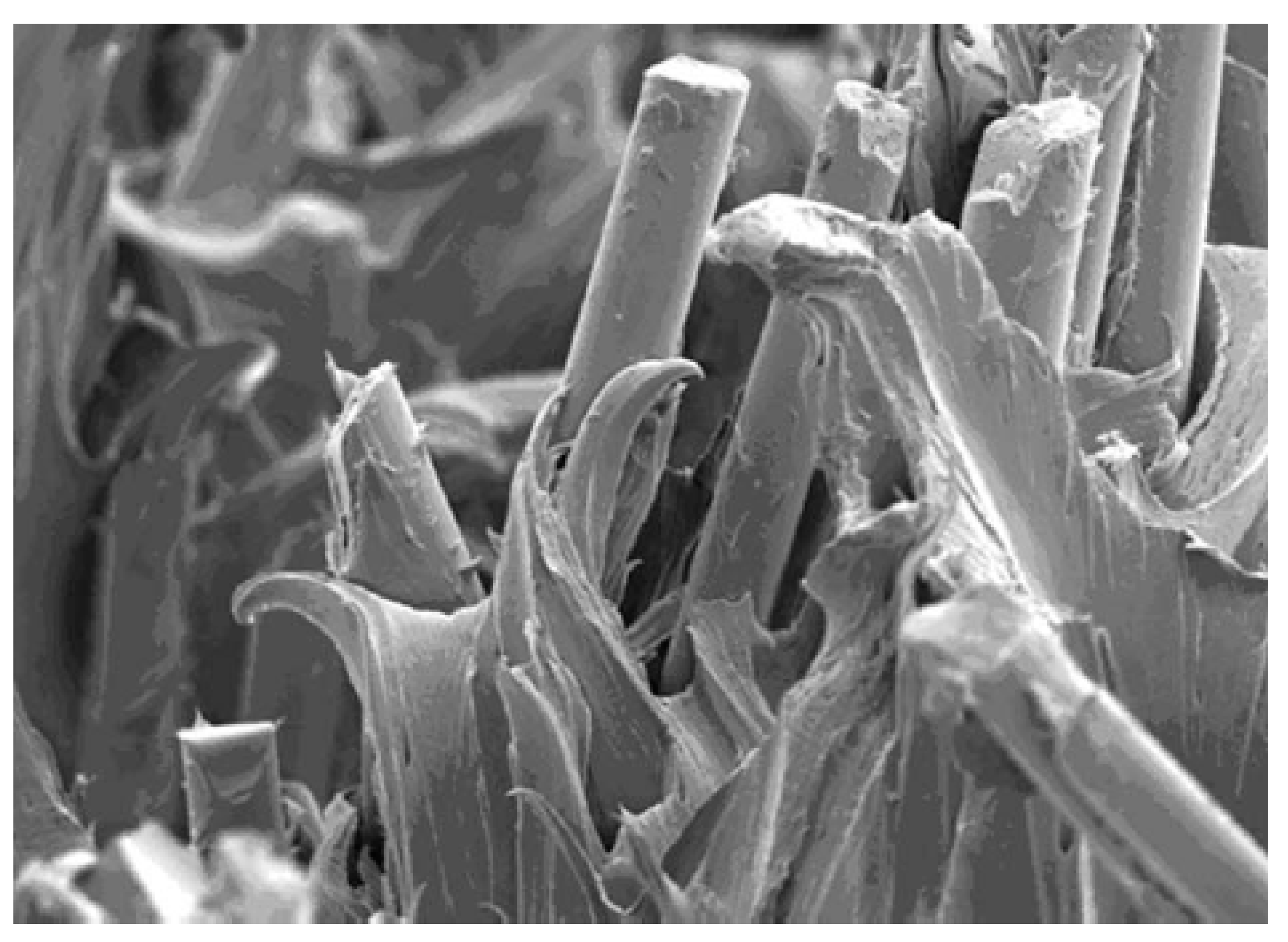 Polymers 14 04940 g016 Polymers 14 04940 g016