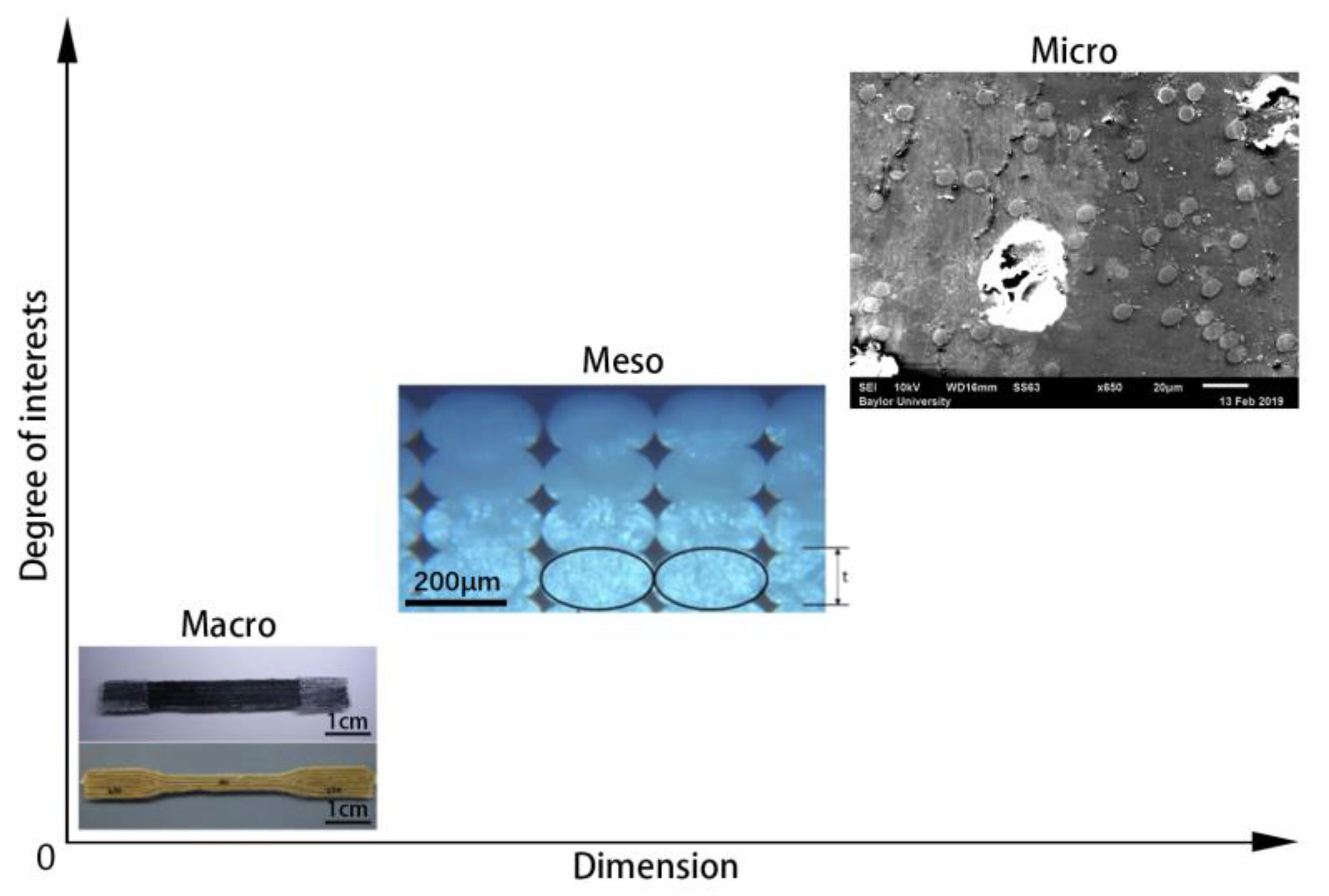 Polymers 14 04941 g003 Polymers 14 04941 g003