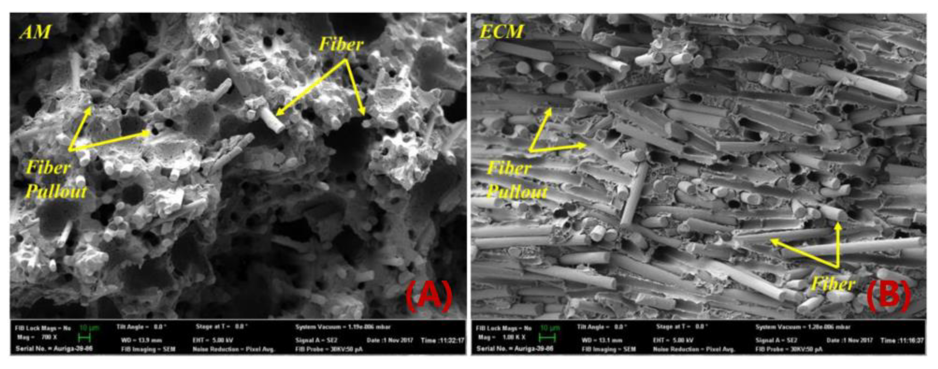Polymers 14 04941 g019 Polymers 14 04941 g019