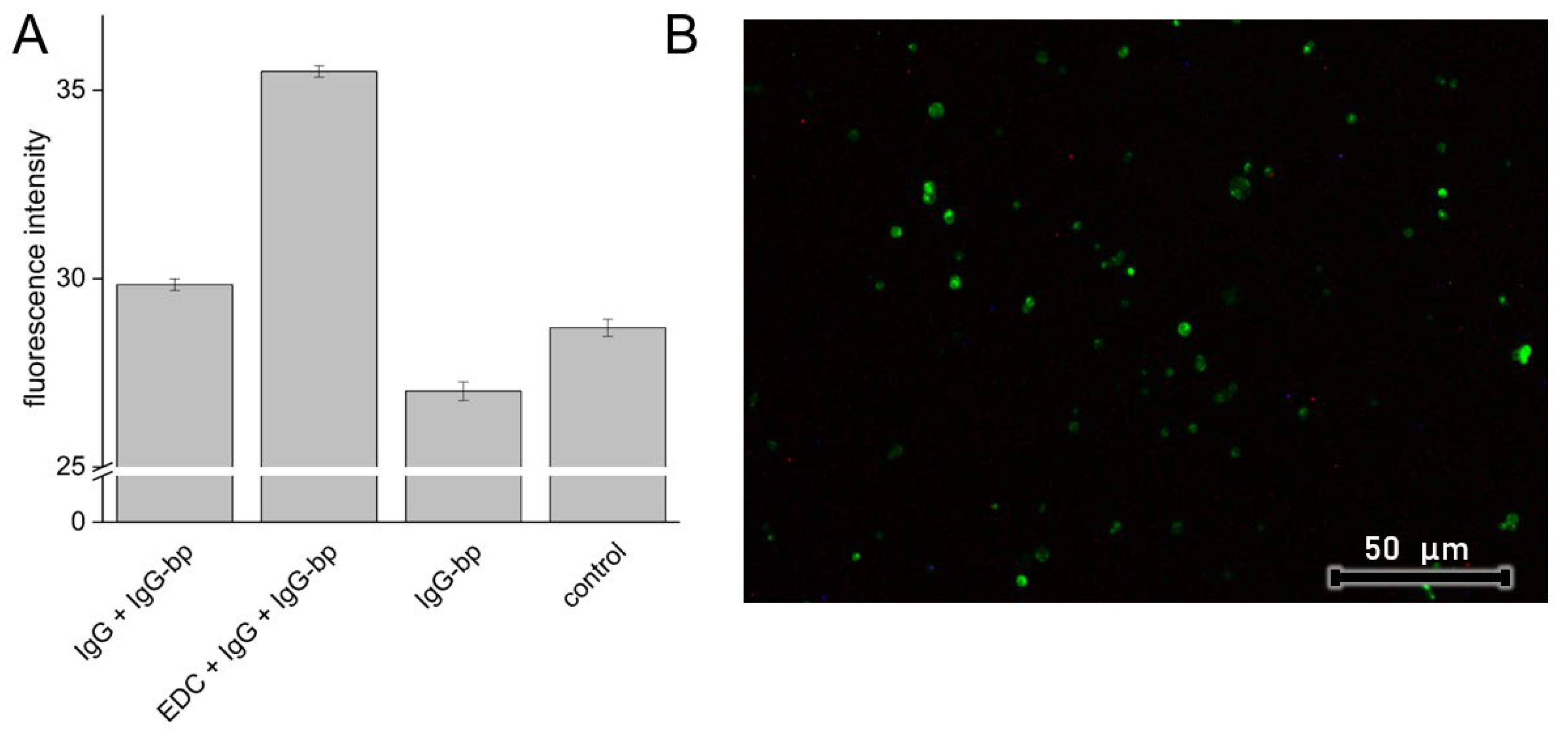 Polymers 14 04943 g010 Polymers 14 04943 g010