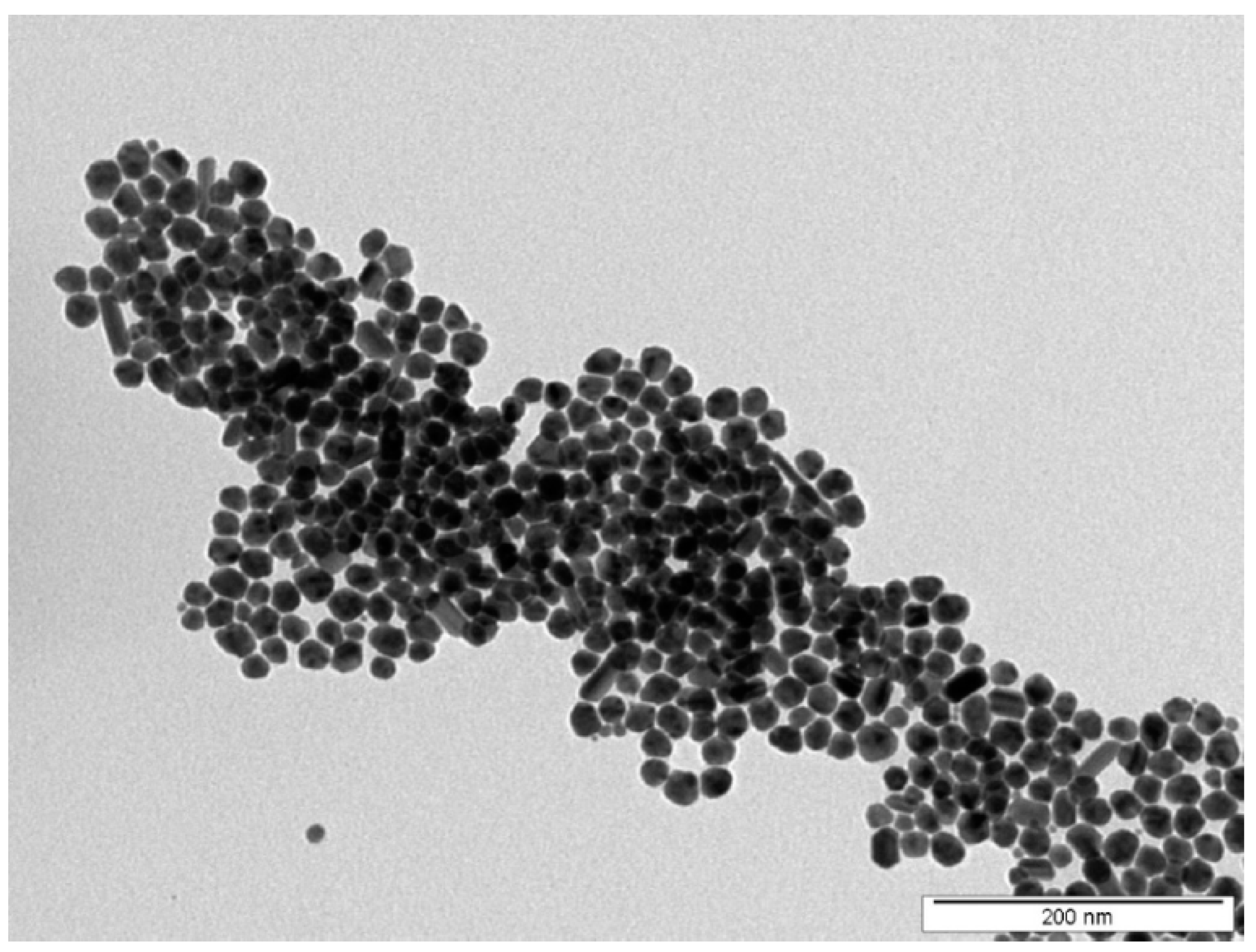 Polymers 14 04944 g001