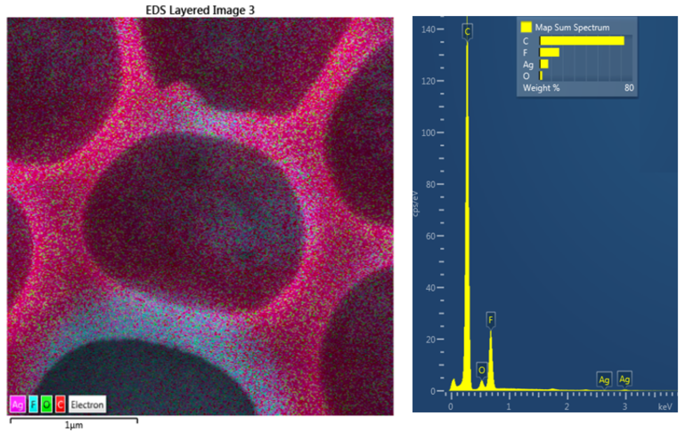 Polymers 14 04944 g009