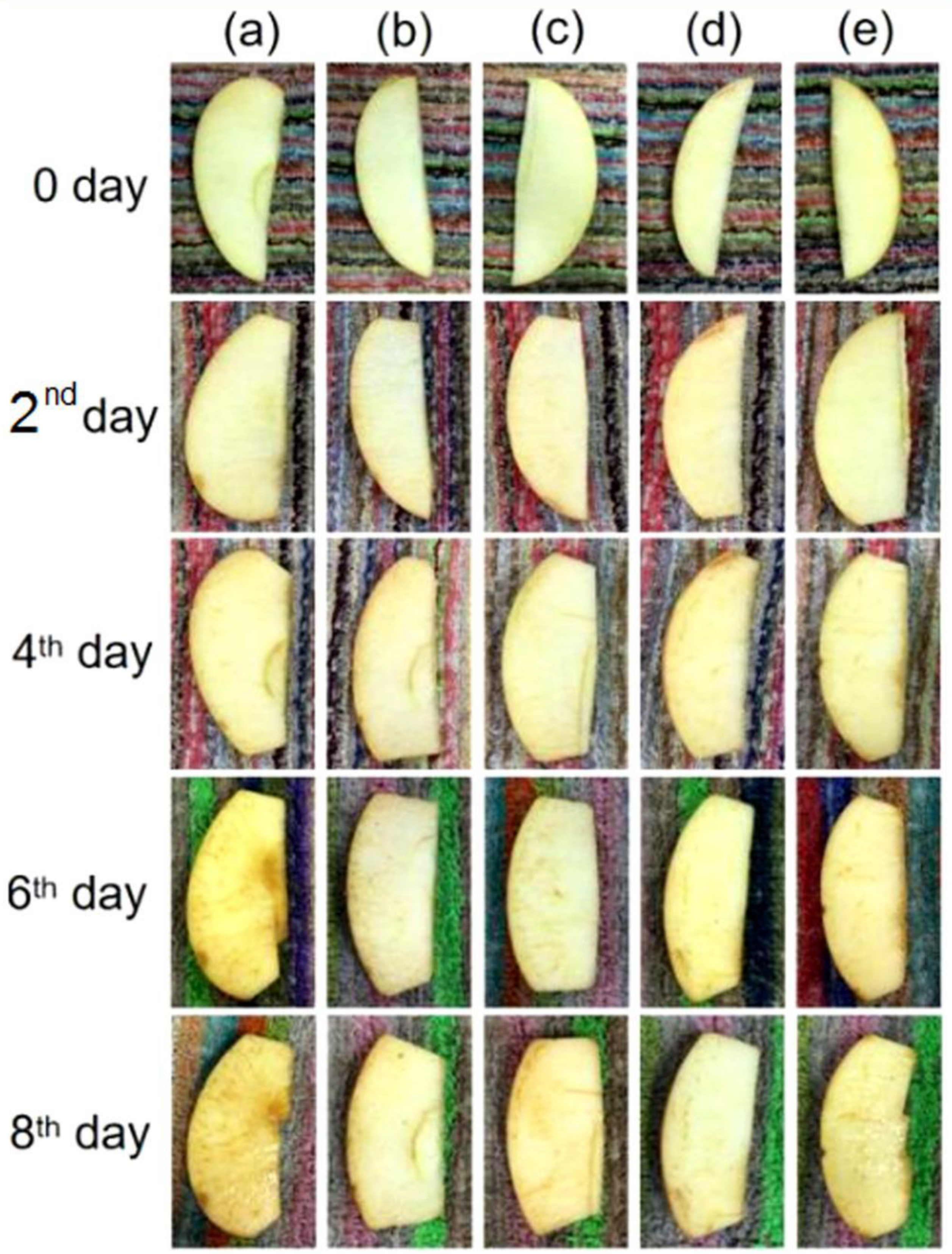 Polymers 14 04947 g014
