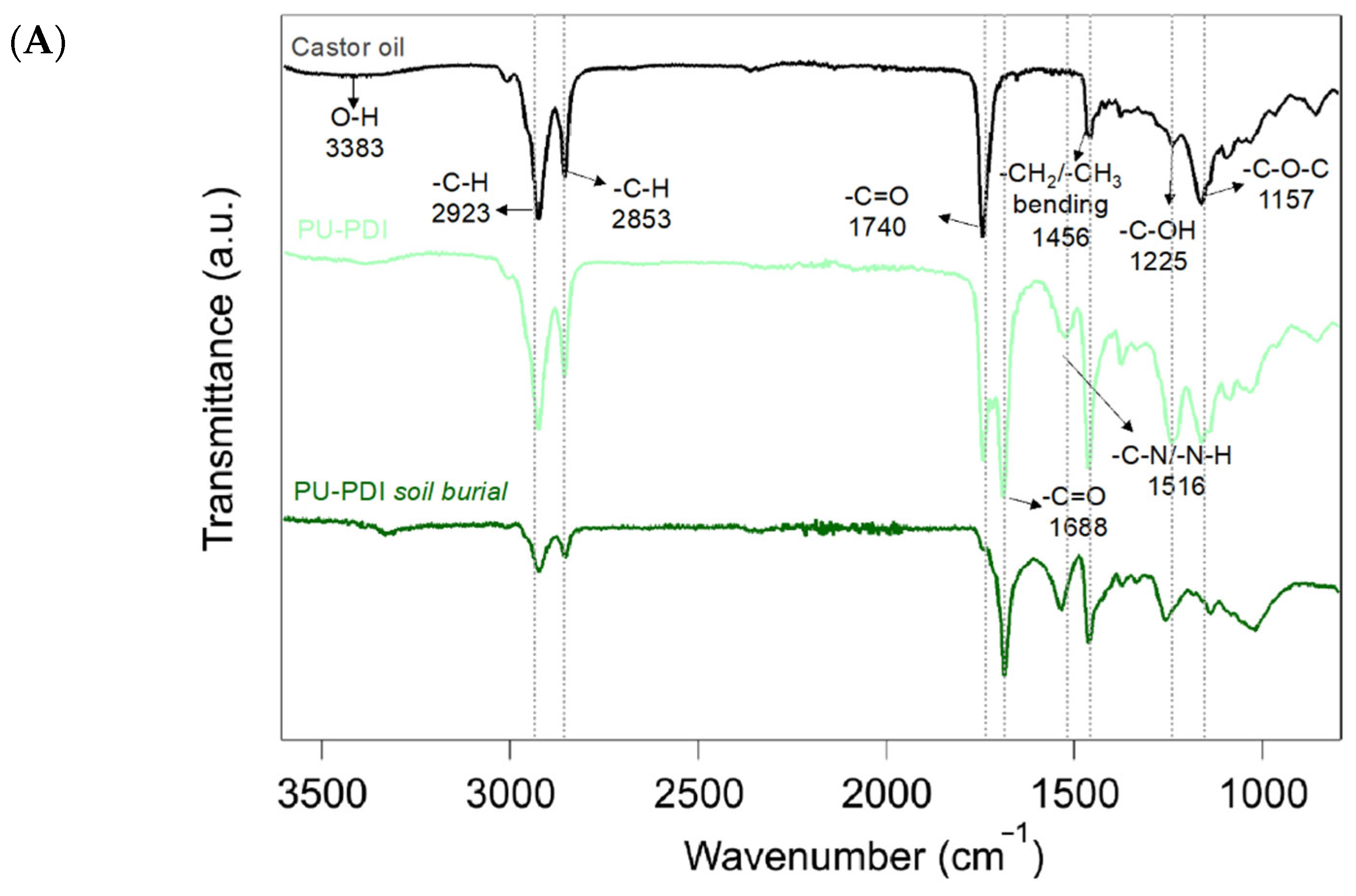 Polymers 14 04948 g005a Polymers 14 04948 g005a