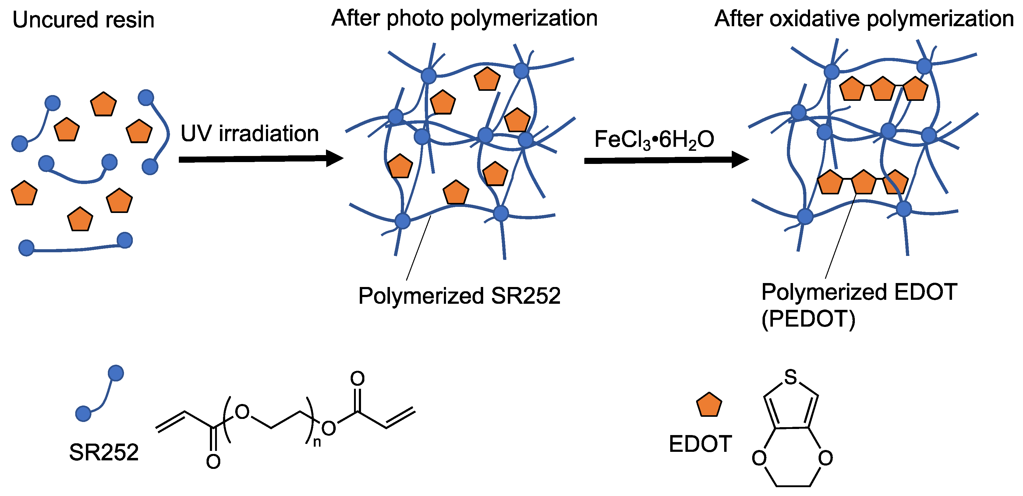Polymers 14 04949 g003 Polymers 14 04949 g003
