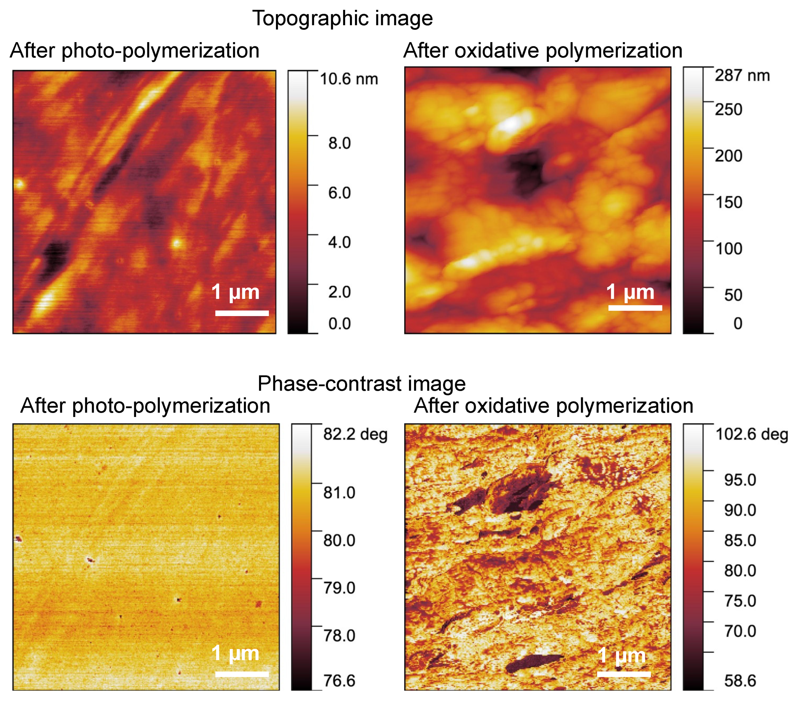 Polymers 14 04949 g006 Polymers 14 04949 g006